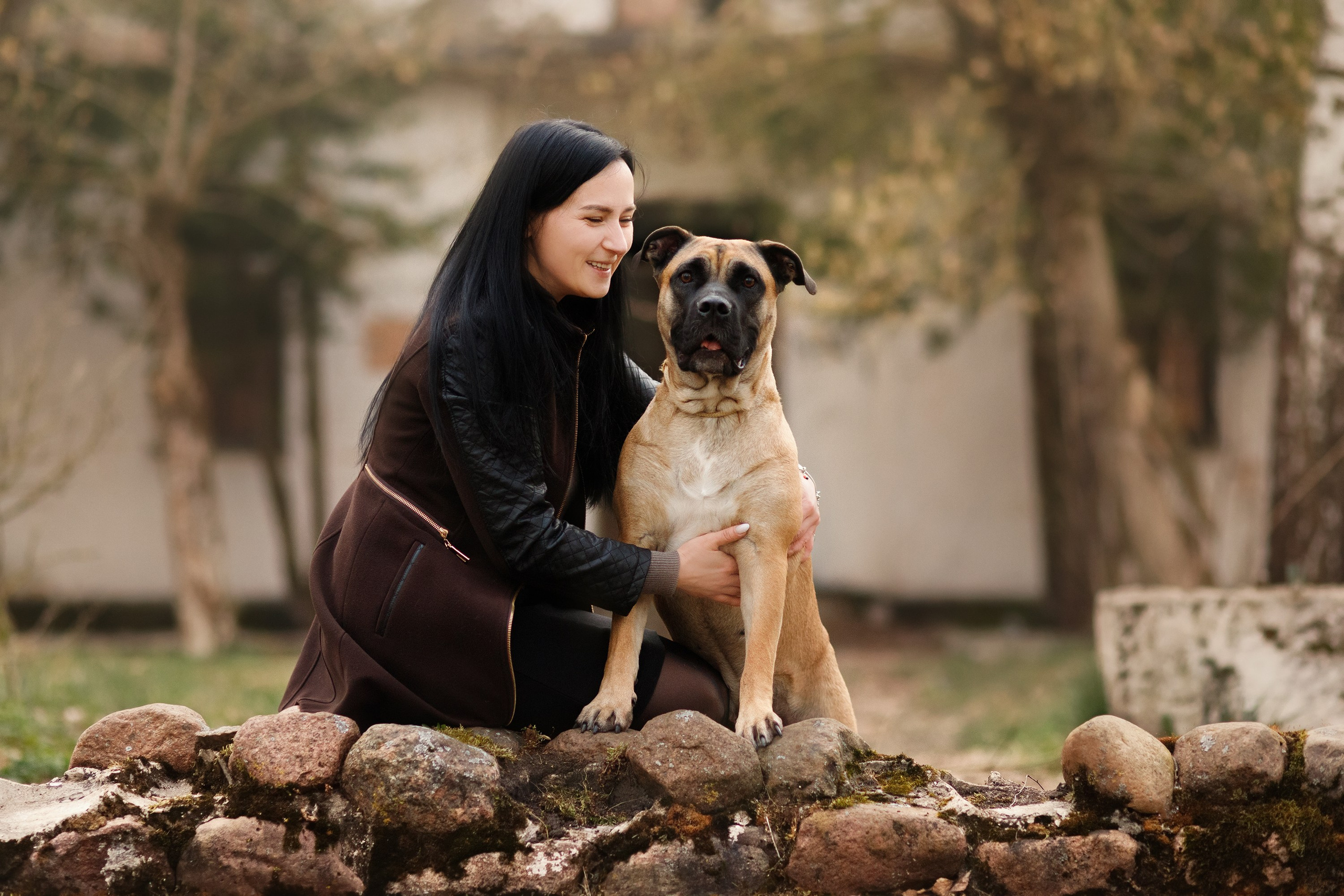 Spring ca de bou. Kaja | fotograf psów we Wrocławiu