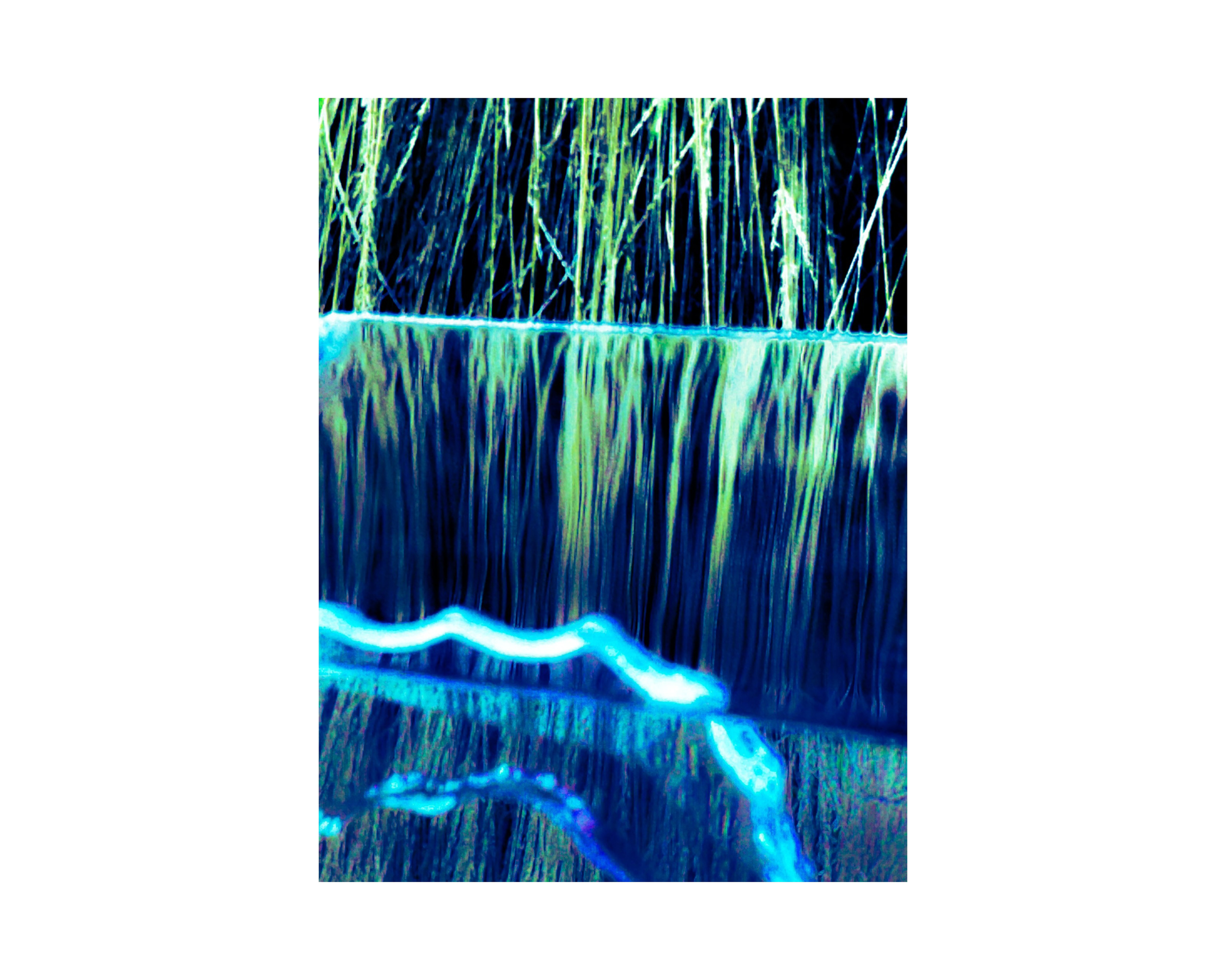 Nature from Exaggerated Worlds. Ekaterina Tsurkina-Appina Photography Canada