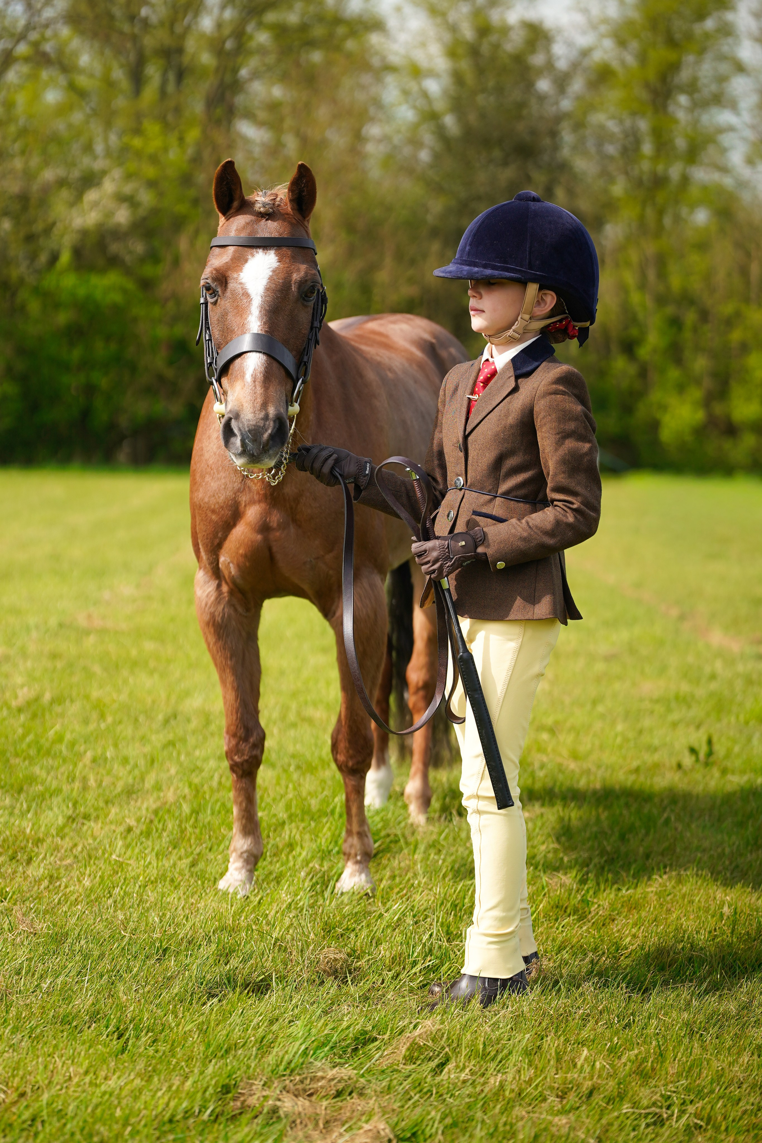 Showing. Leicestershire Equine Photography by El | Authentic Equine Portraits & Events