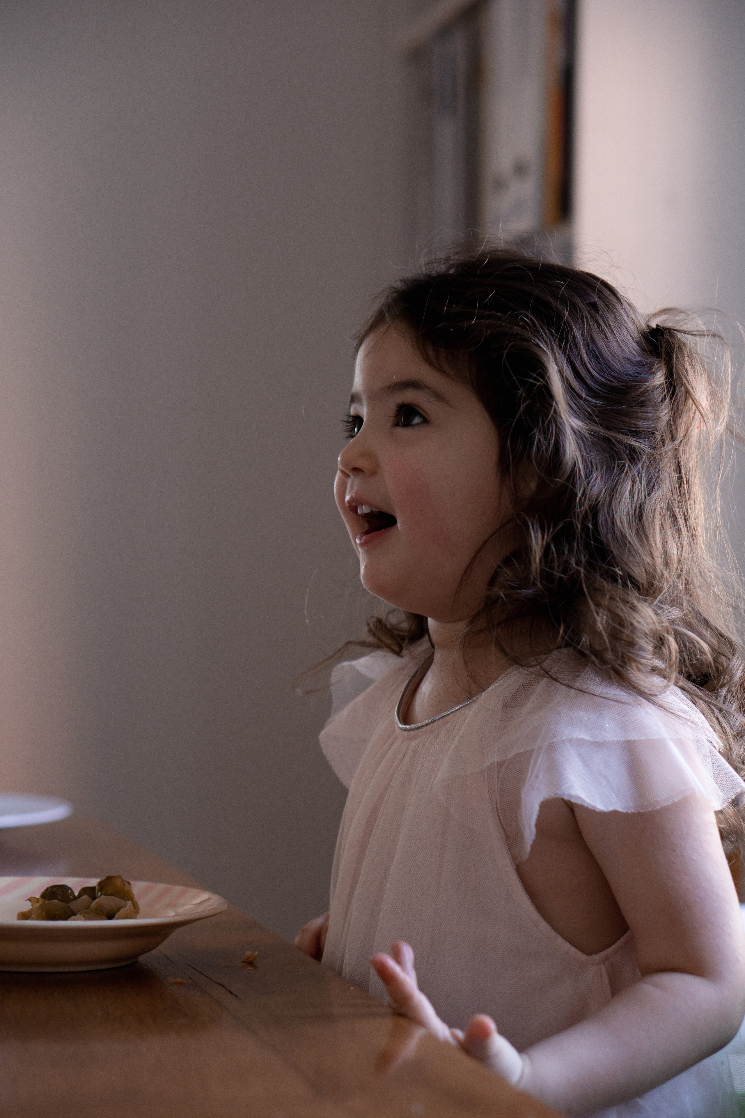 Daniela`s family. Family photographer Aargau Zurich