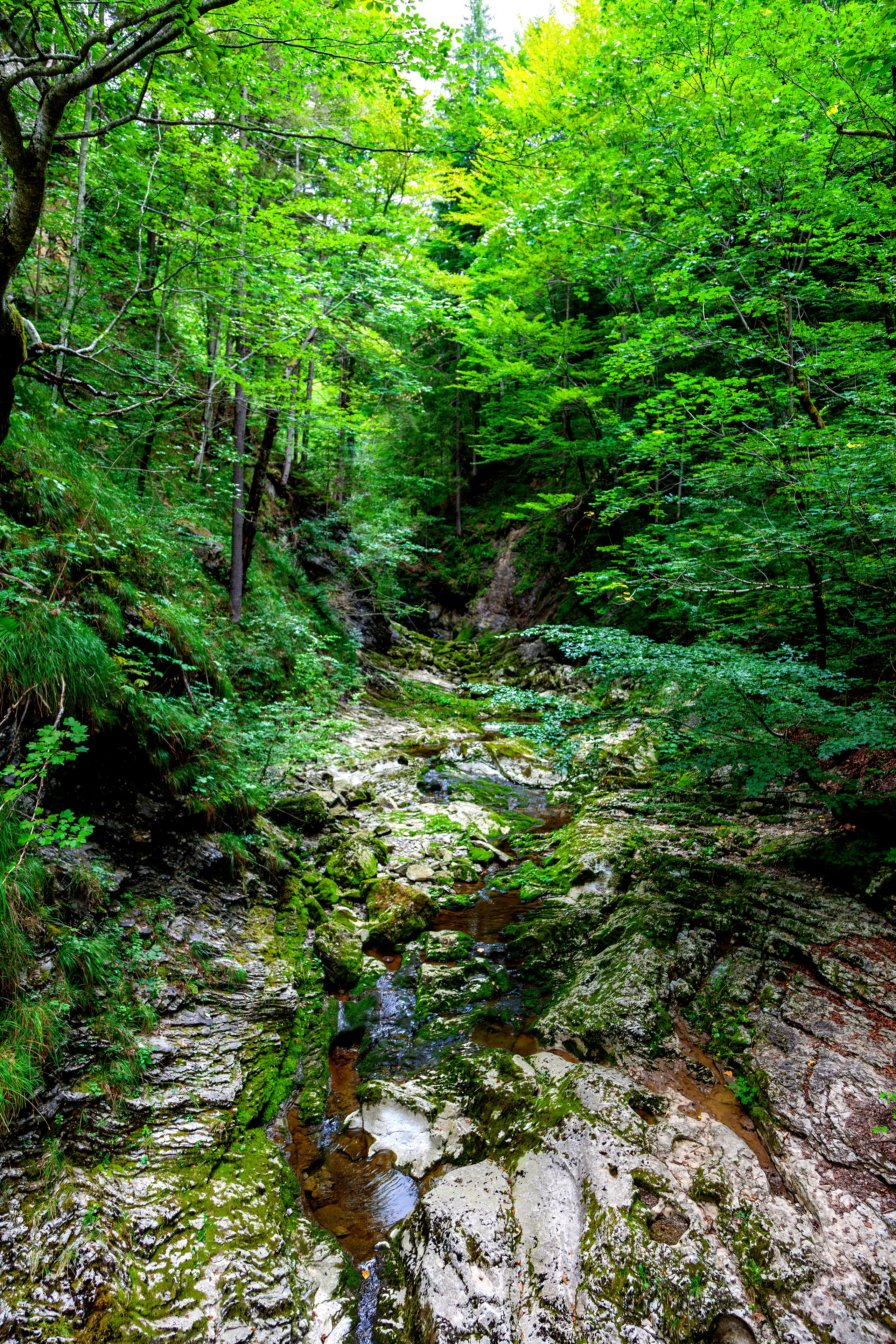 197.Ötscher Base Nature Park.Austria.21.8.2025. Путешествия в формате 360......