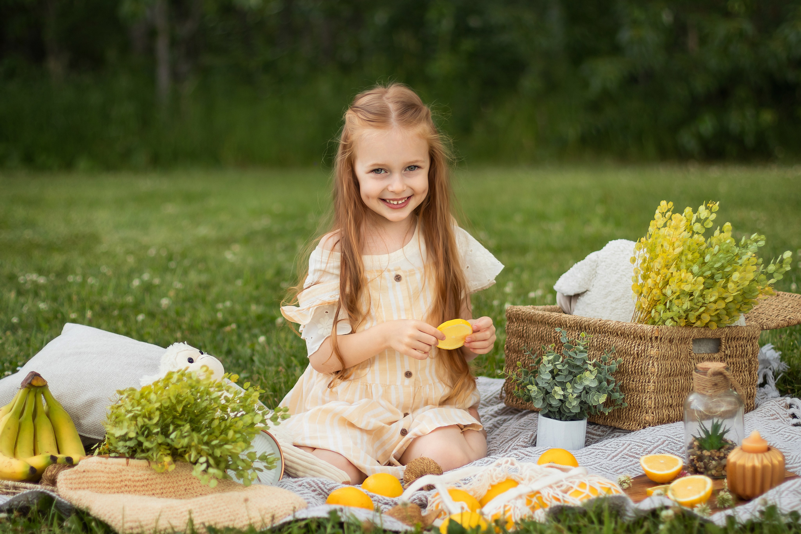 Lemon Picnic. Photographer Yana Galetskaya in Grand Prairie
