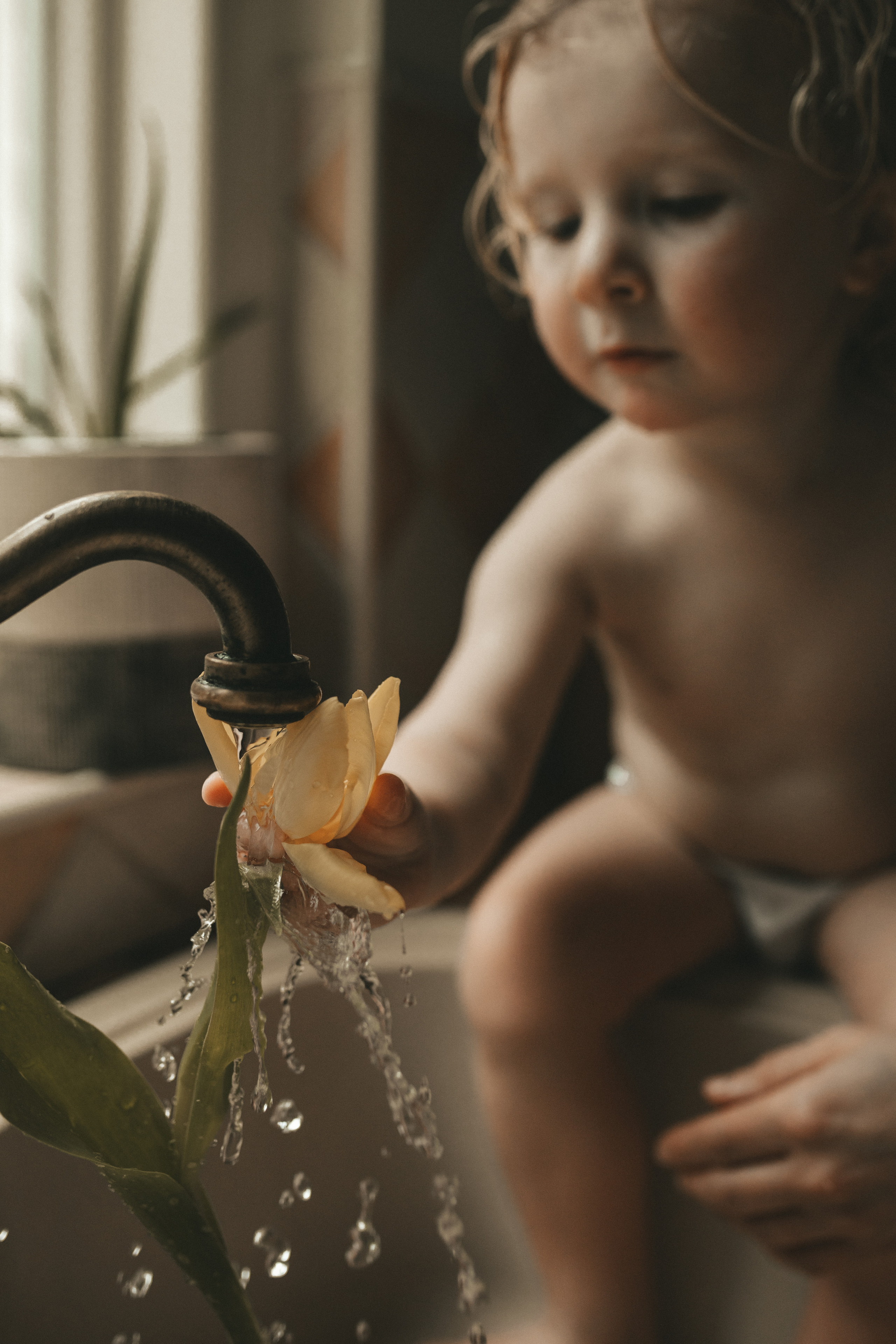 Morning. Yorkshire Photographer