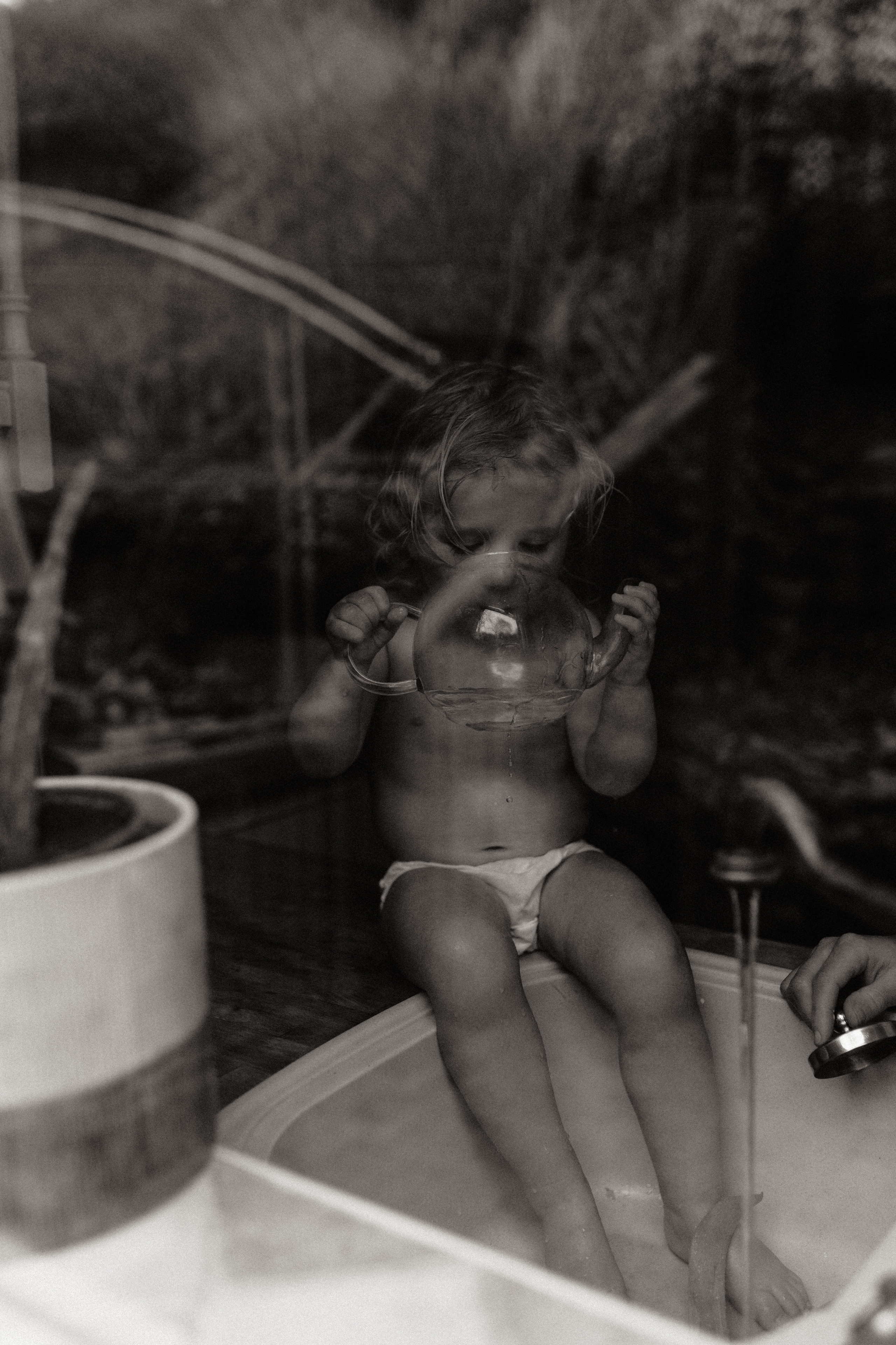 Morning. Yorkshire Photographer