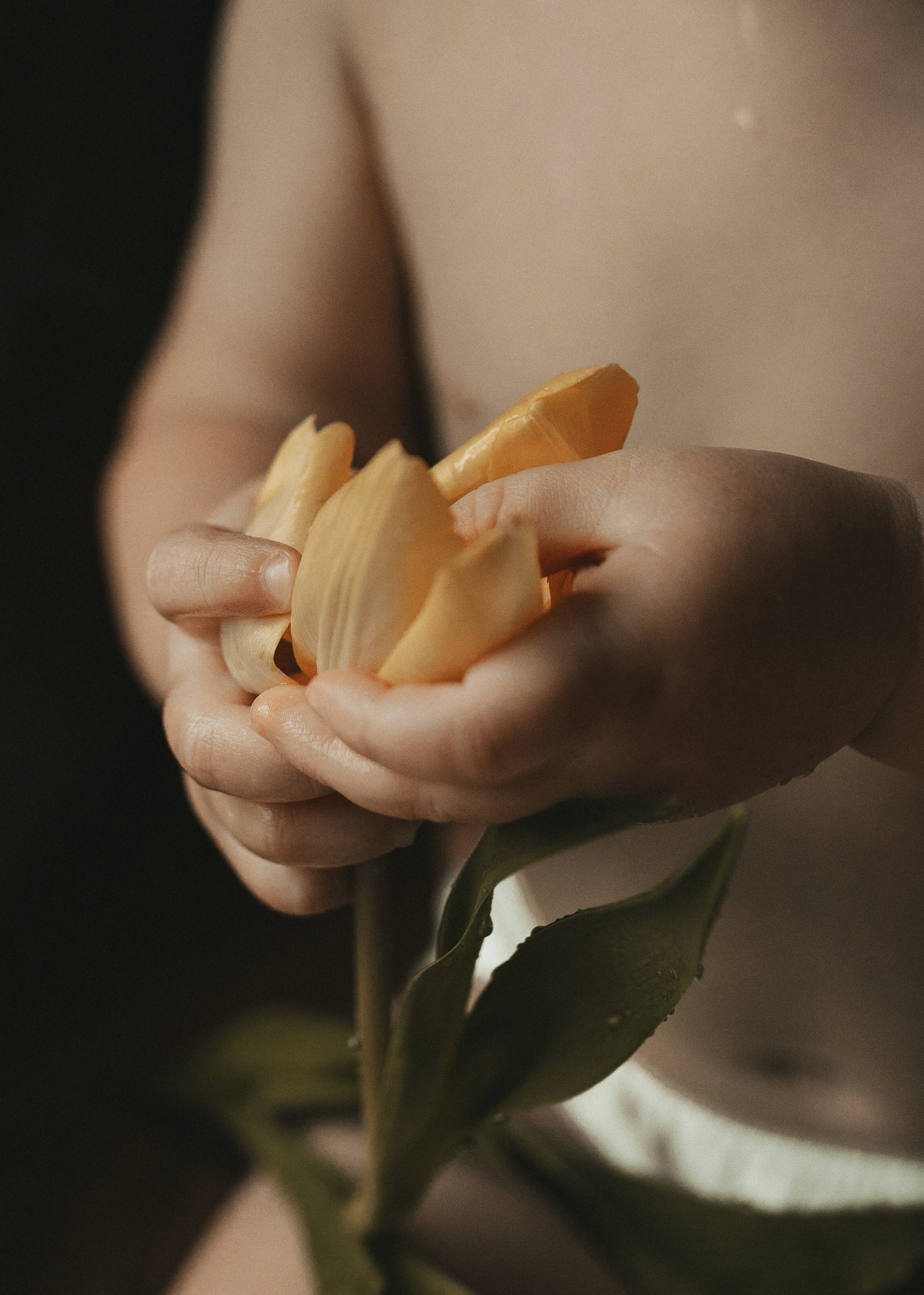 Morning. Yorkshire Photographer