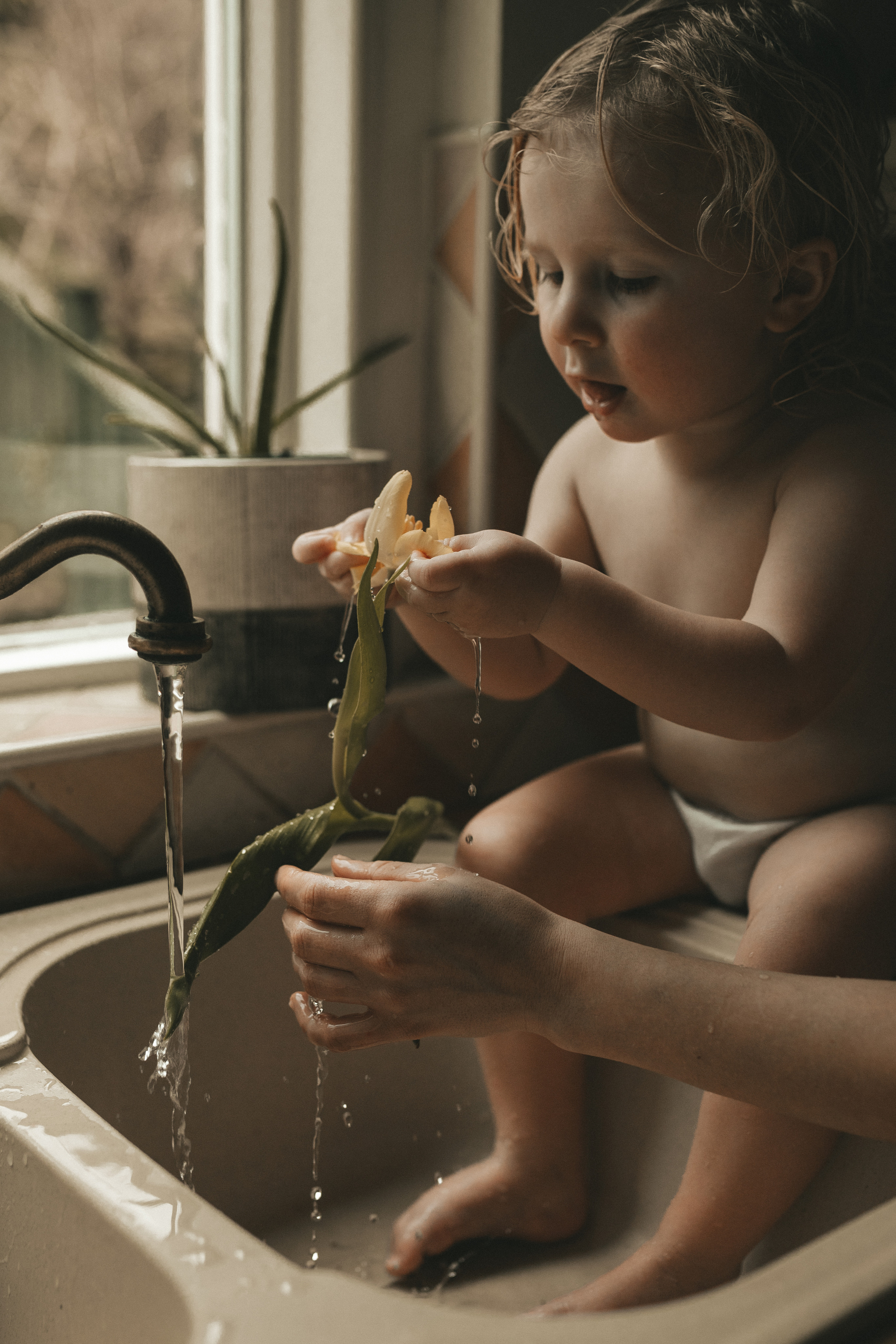 Morning. Yorkshire Photographer