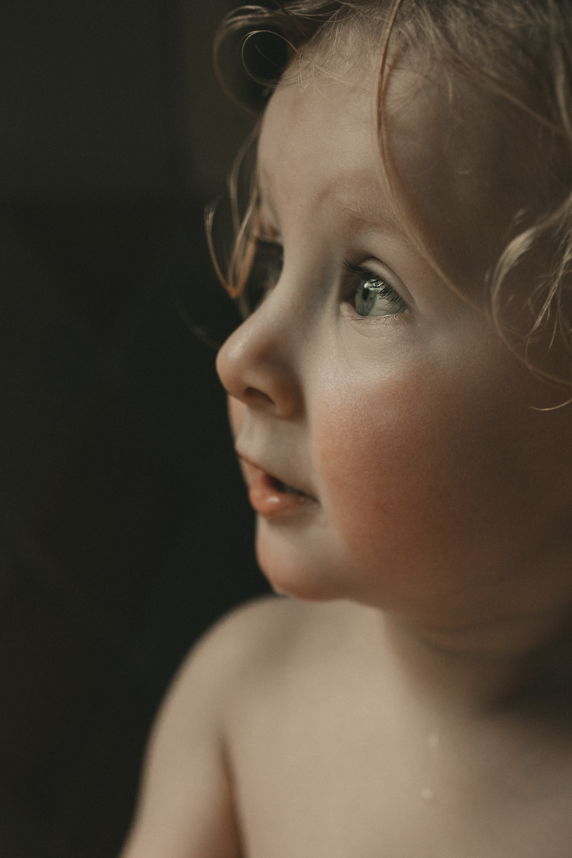 Morning. Yorkshire Photographer