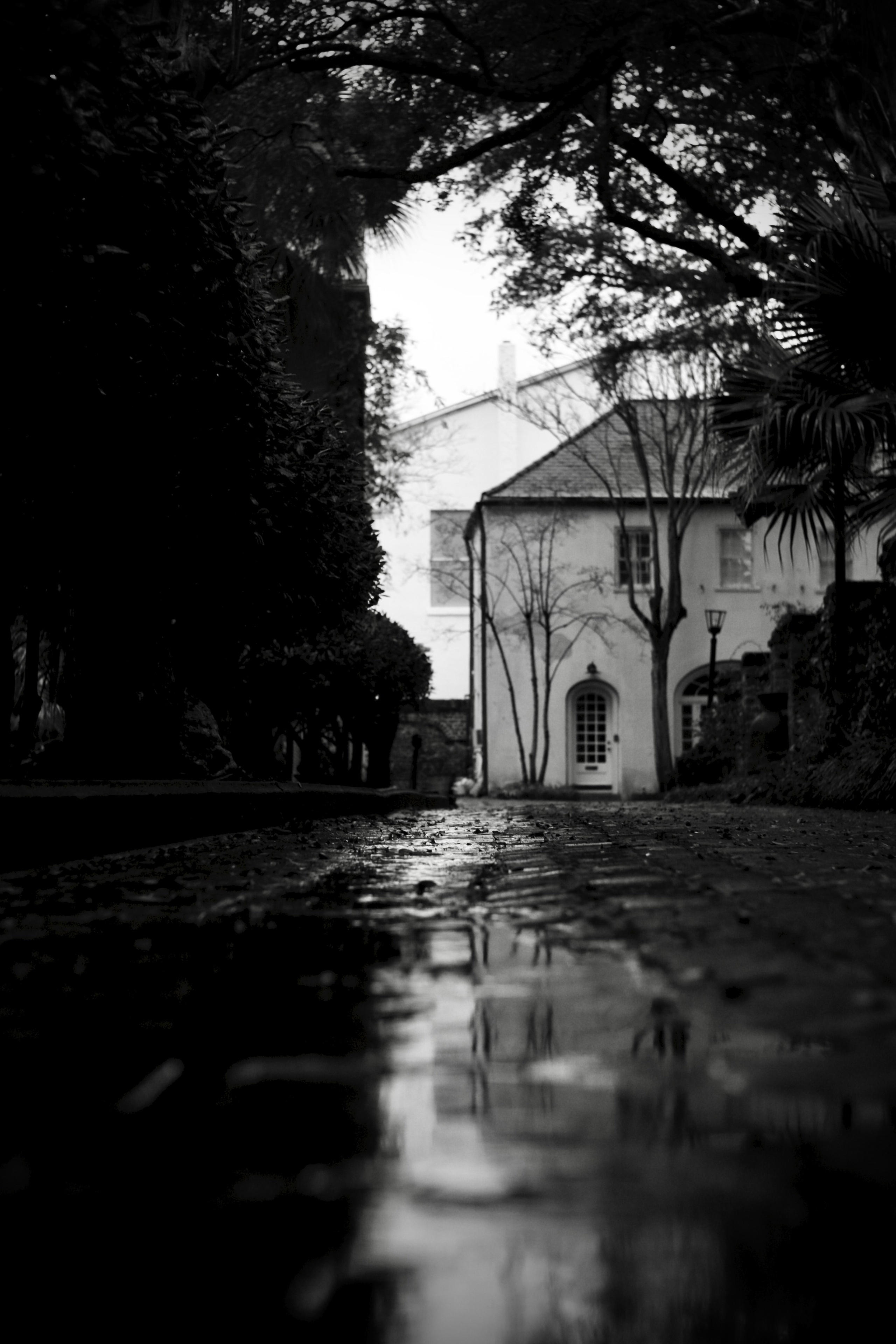 Monochrome. Sonny Photos