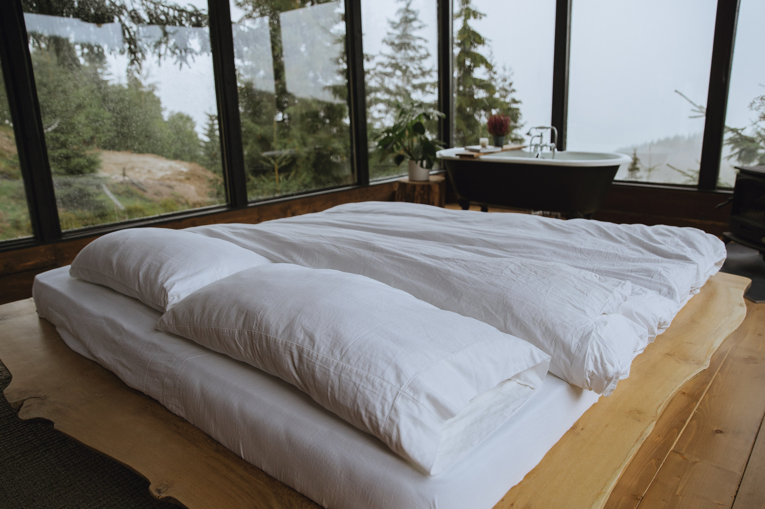 Airbnb Photos. Patricia Morenci — Mountain Adventures for the Wild at Heart