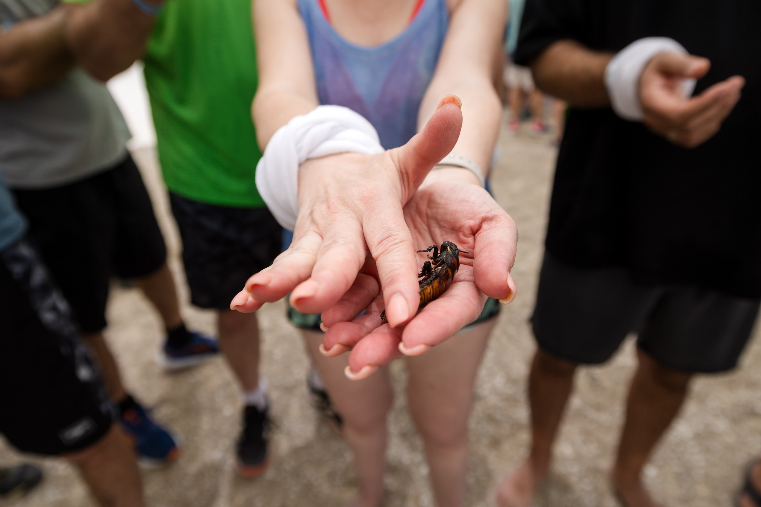 Qualcomm 2024 summer event. AMIR BUCHNIK PHOTOGRAPHER