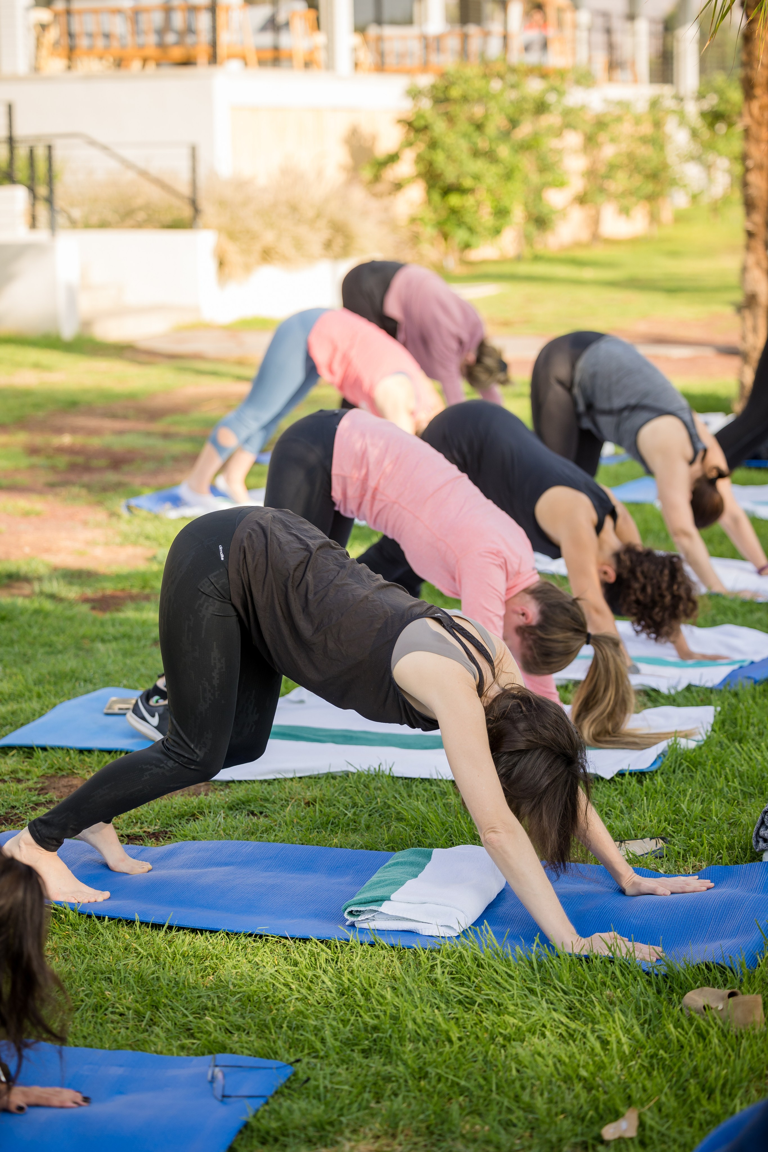 Pfizer. AMIR BUCHNIK PHOTOGRAPHER