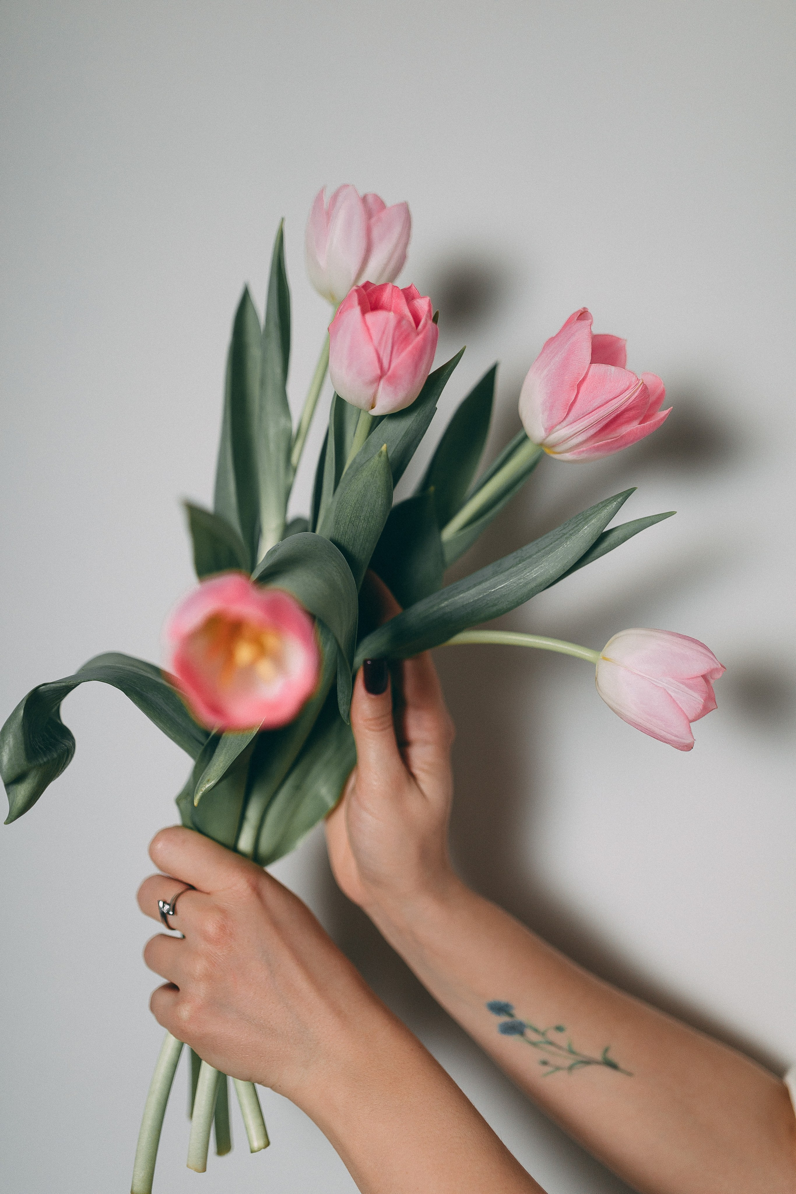 Individuāla ar tulpēm. Fotogrāfs Rīgā — Katerina Gordik