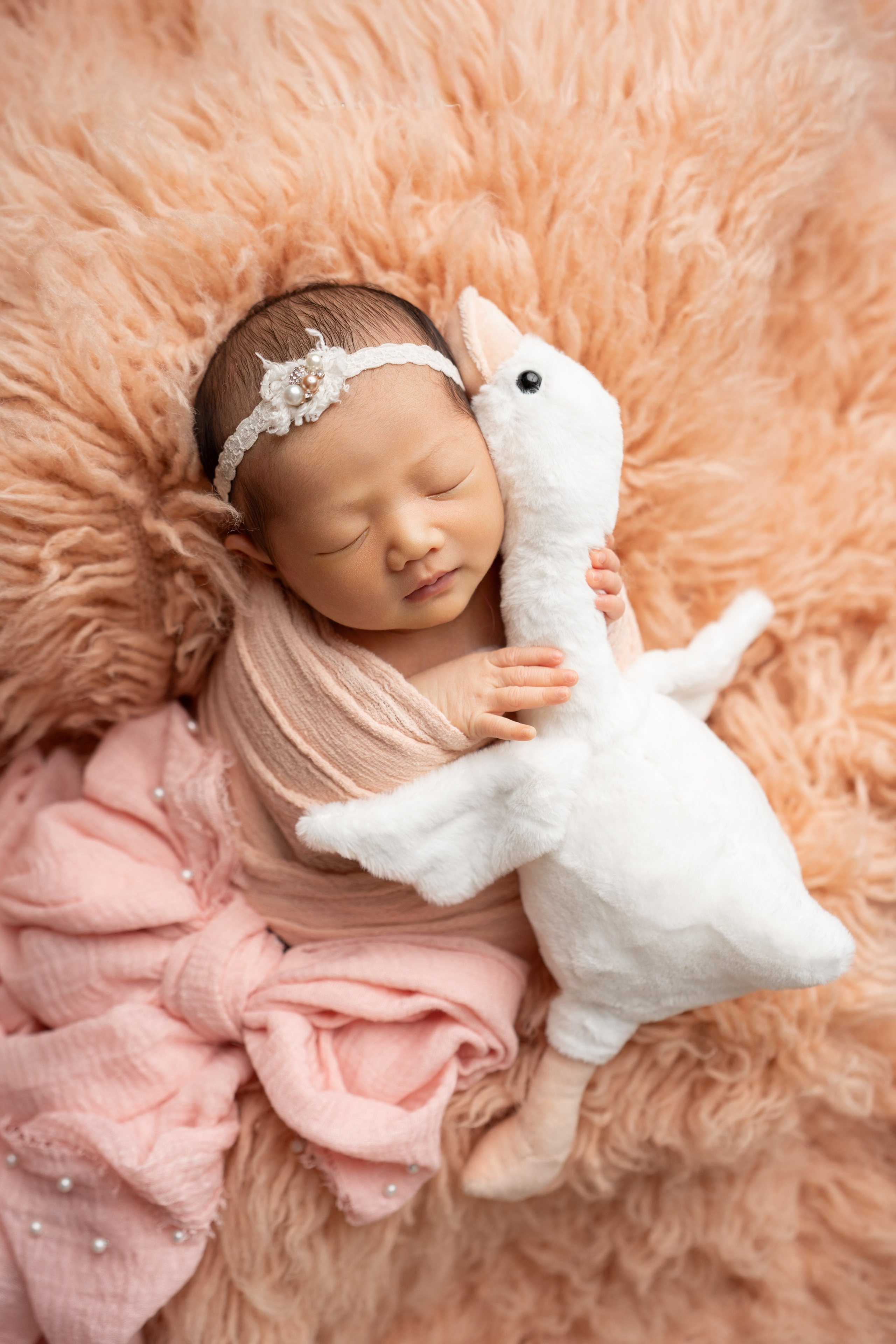 Posed Newborn. Maternity, family and newborn photography in San Francisco Bay Area