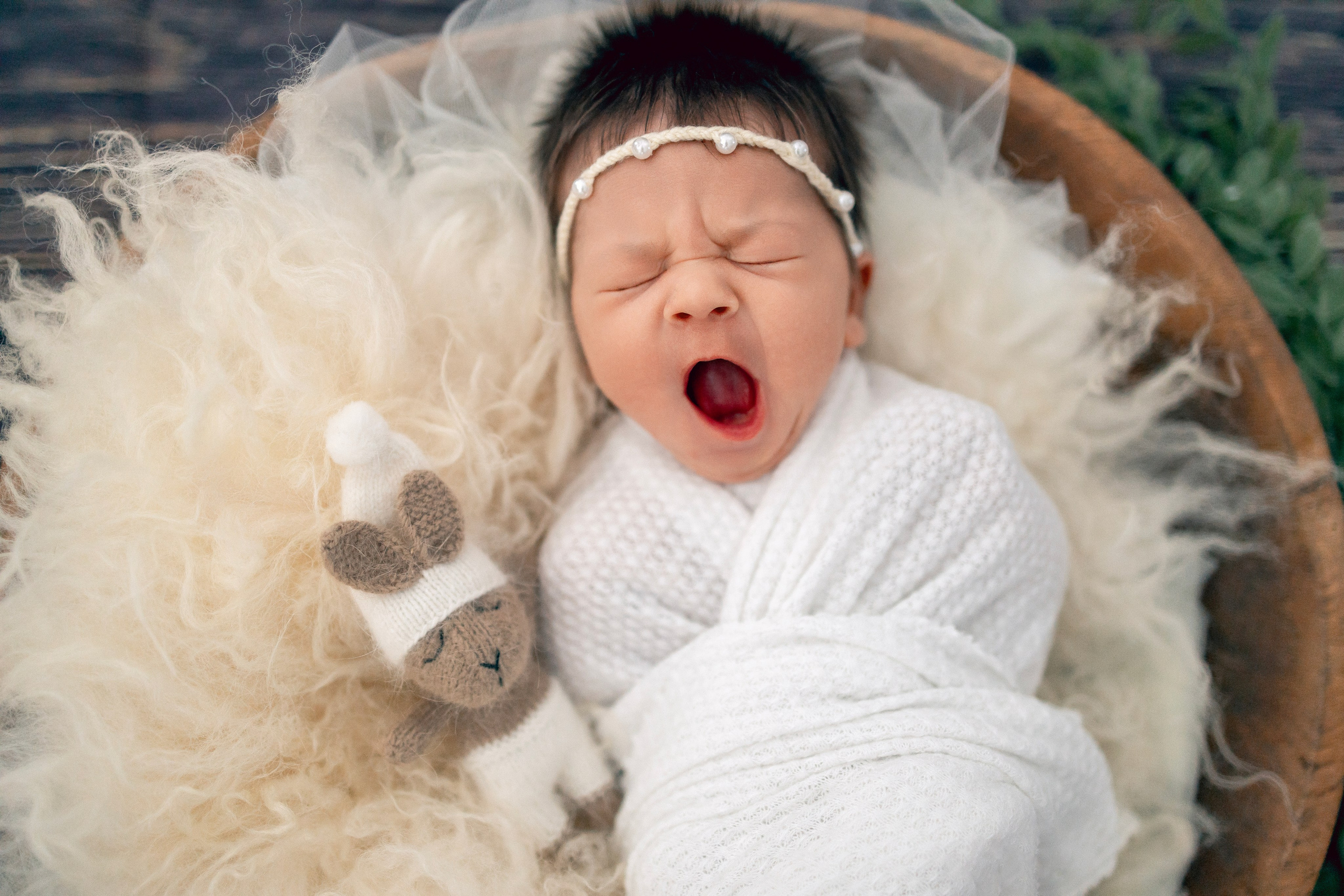 Newborn. Anaeliseevaphoto.com