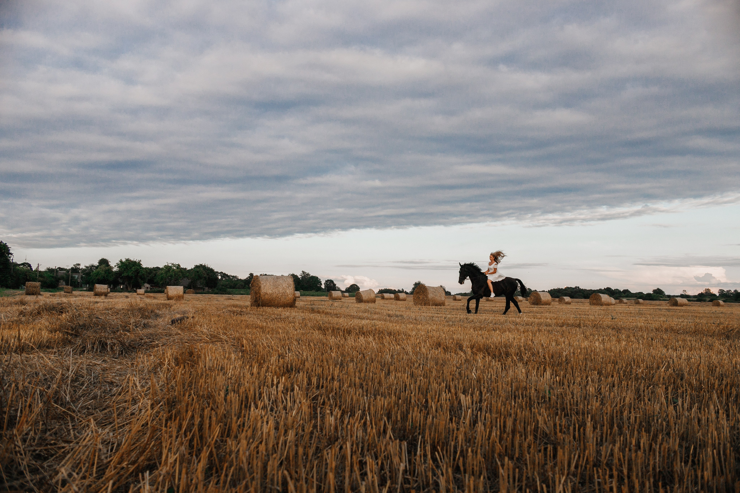 One sunset. Kaja | fotograf psów we Wrocławiu