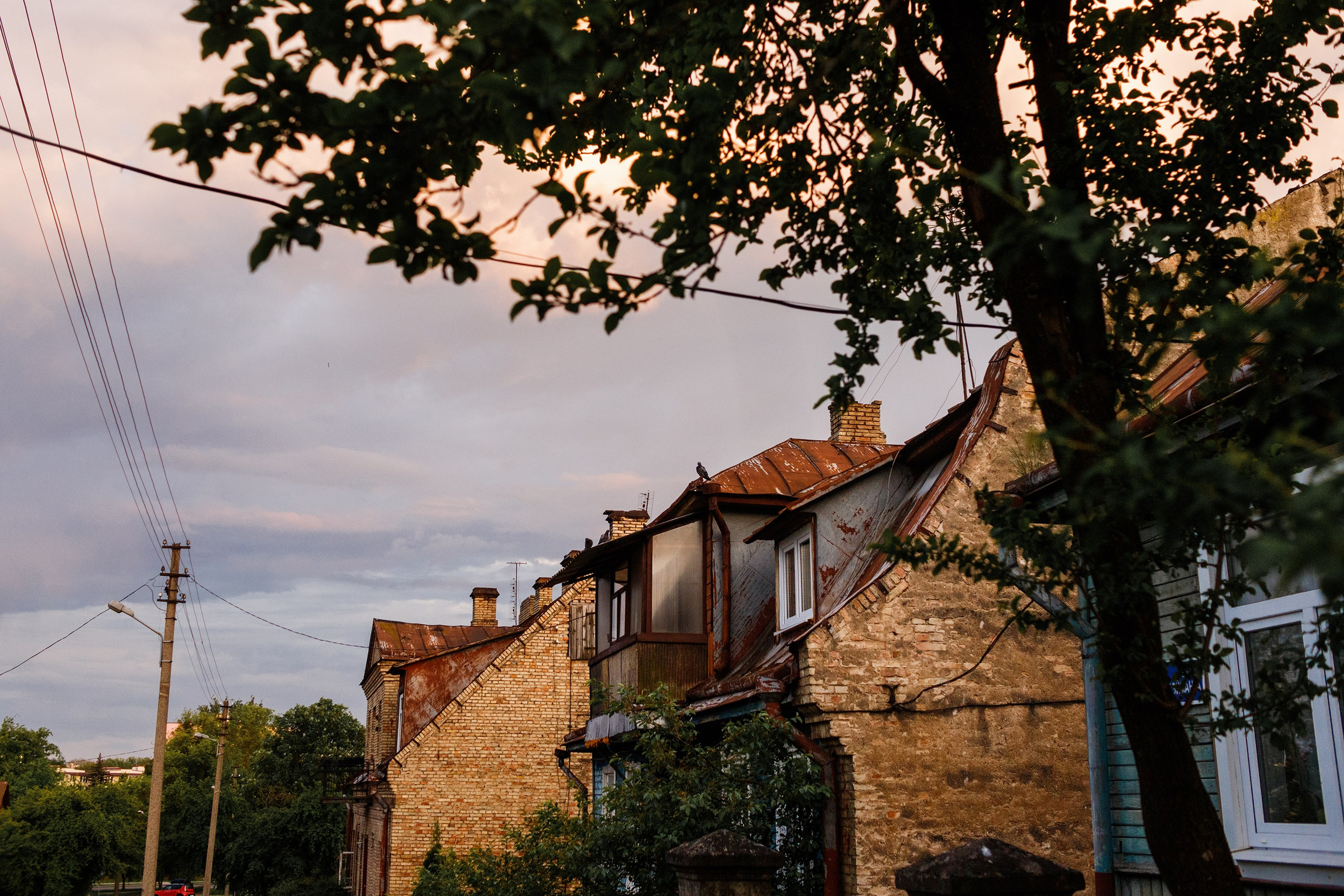 Grodno. Kaja | fotograf we Wrocławiu | ludzie i psy