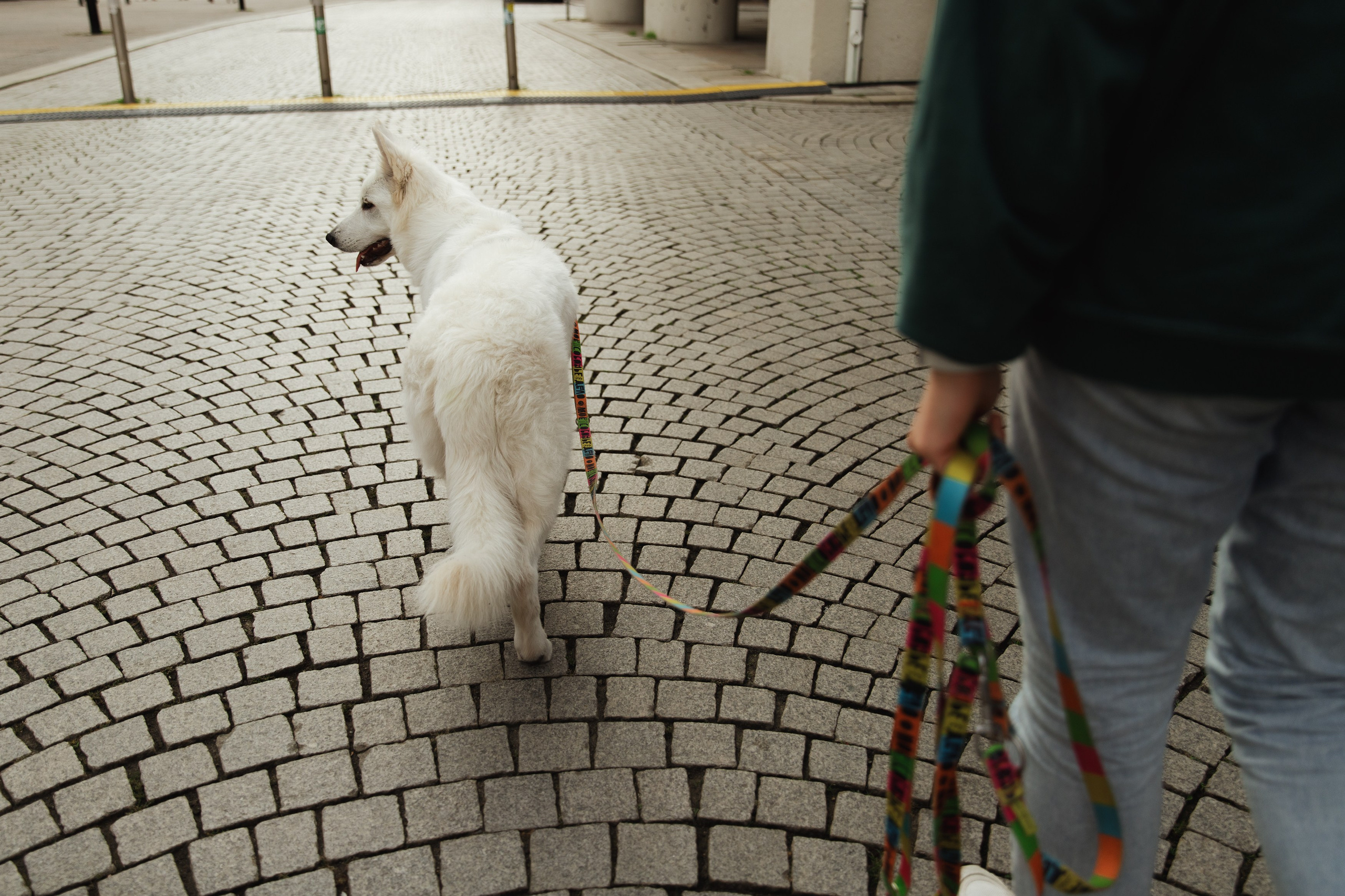 Astra in Leipzig. Kaja | fotograf we Wrocławiu | ludzie i psy