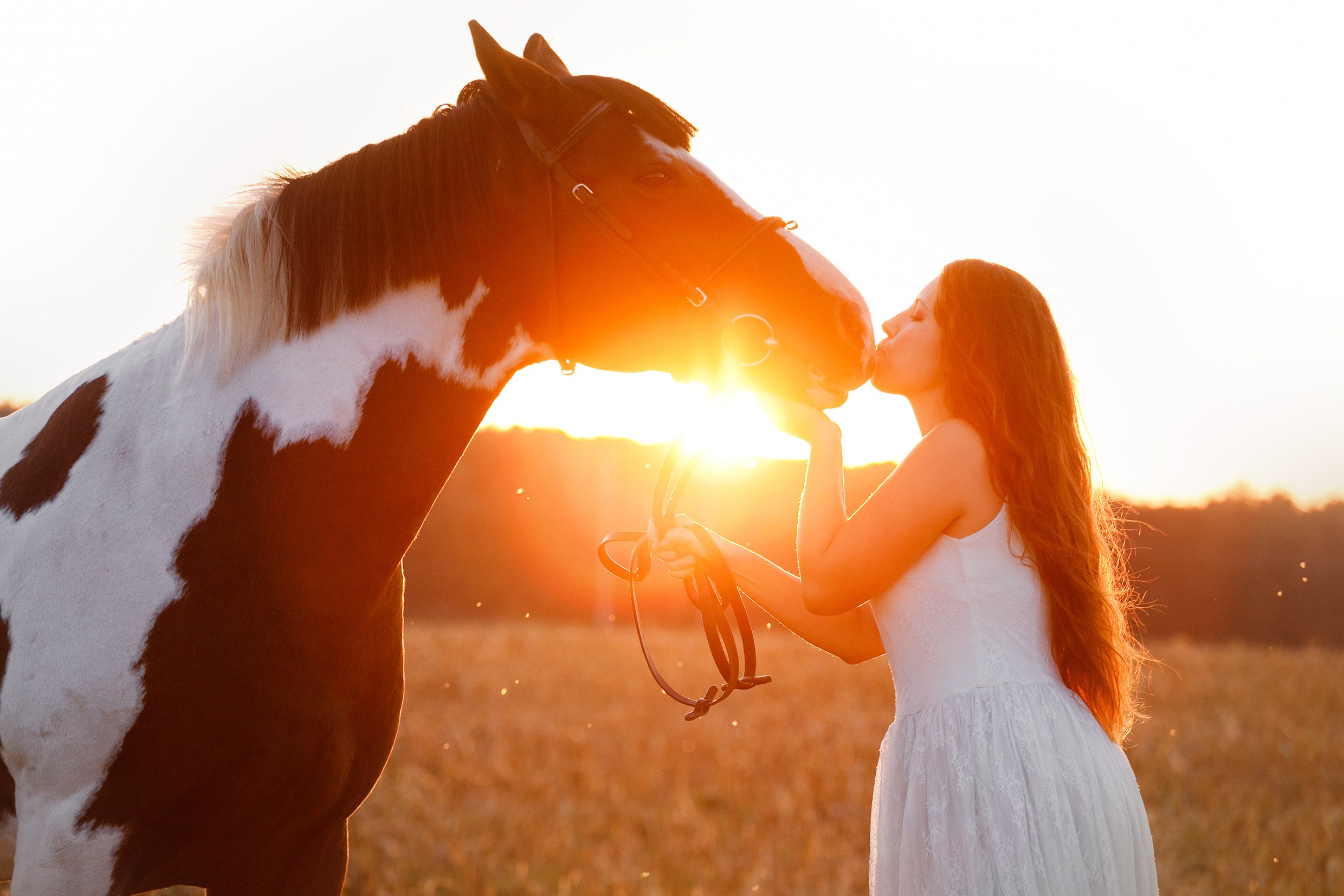 Pegas & Maximus | portrait shooting. Kaja | fotograf we Wrocławiu | ludzie i psy
