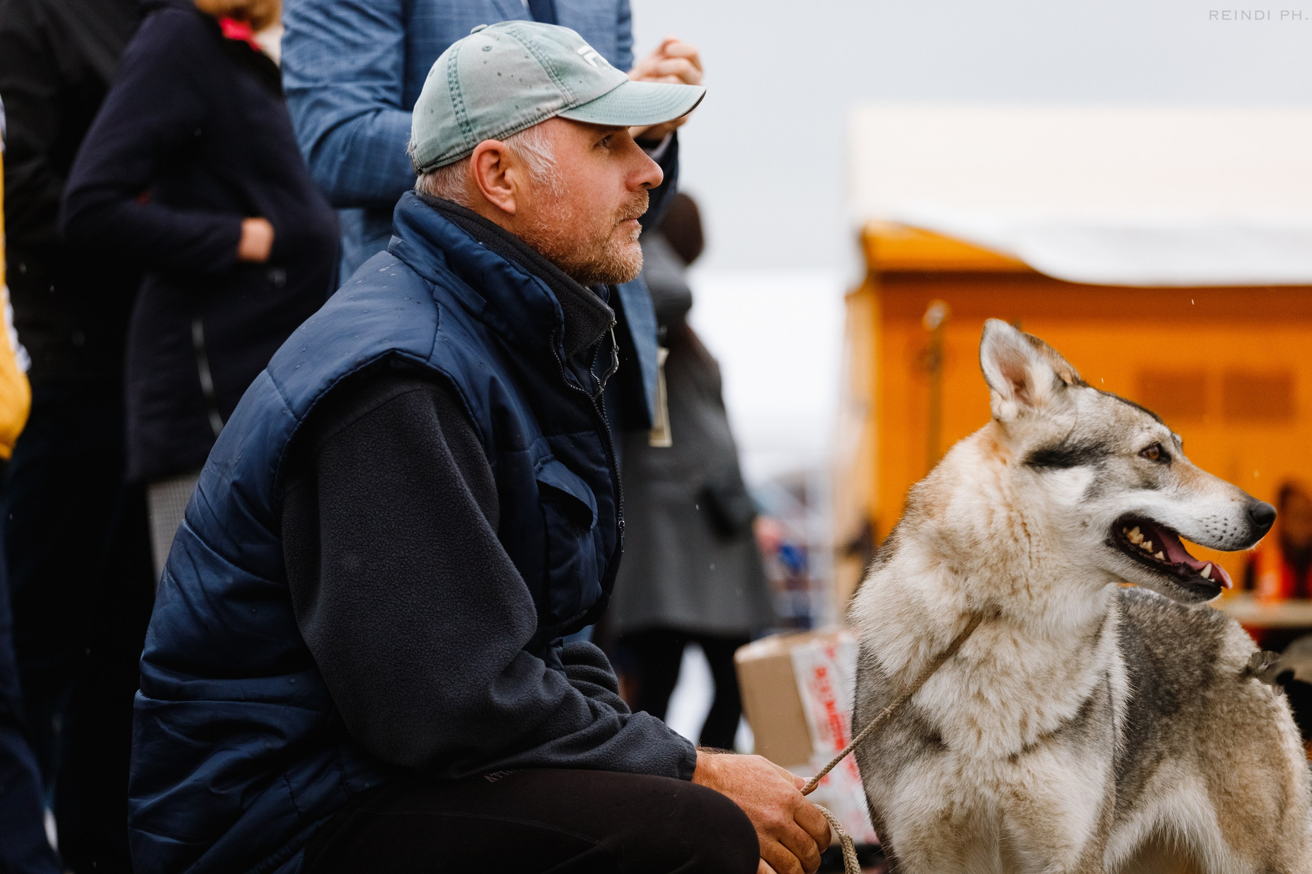 Rainy dog show in Grodno. Kaja | fotograf we Wrocławiu | ludzie i psy