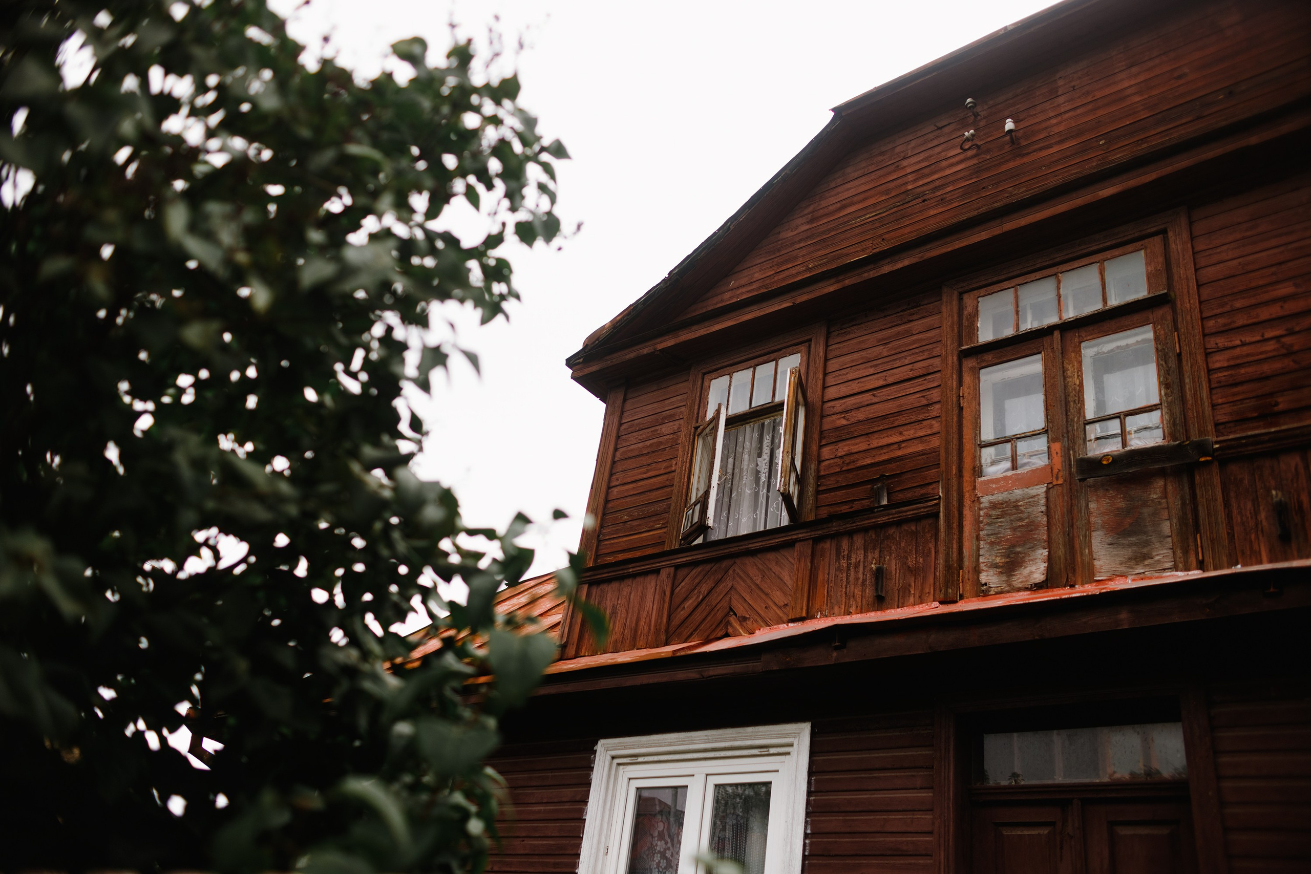 Grodno. Kaja | fotograf we Wrocławiu | ludzie i psy