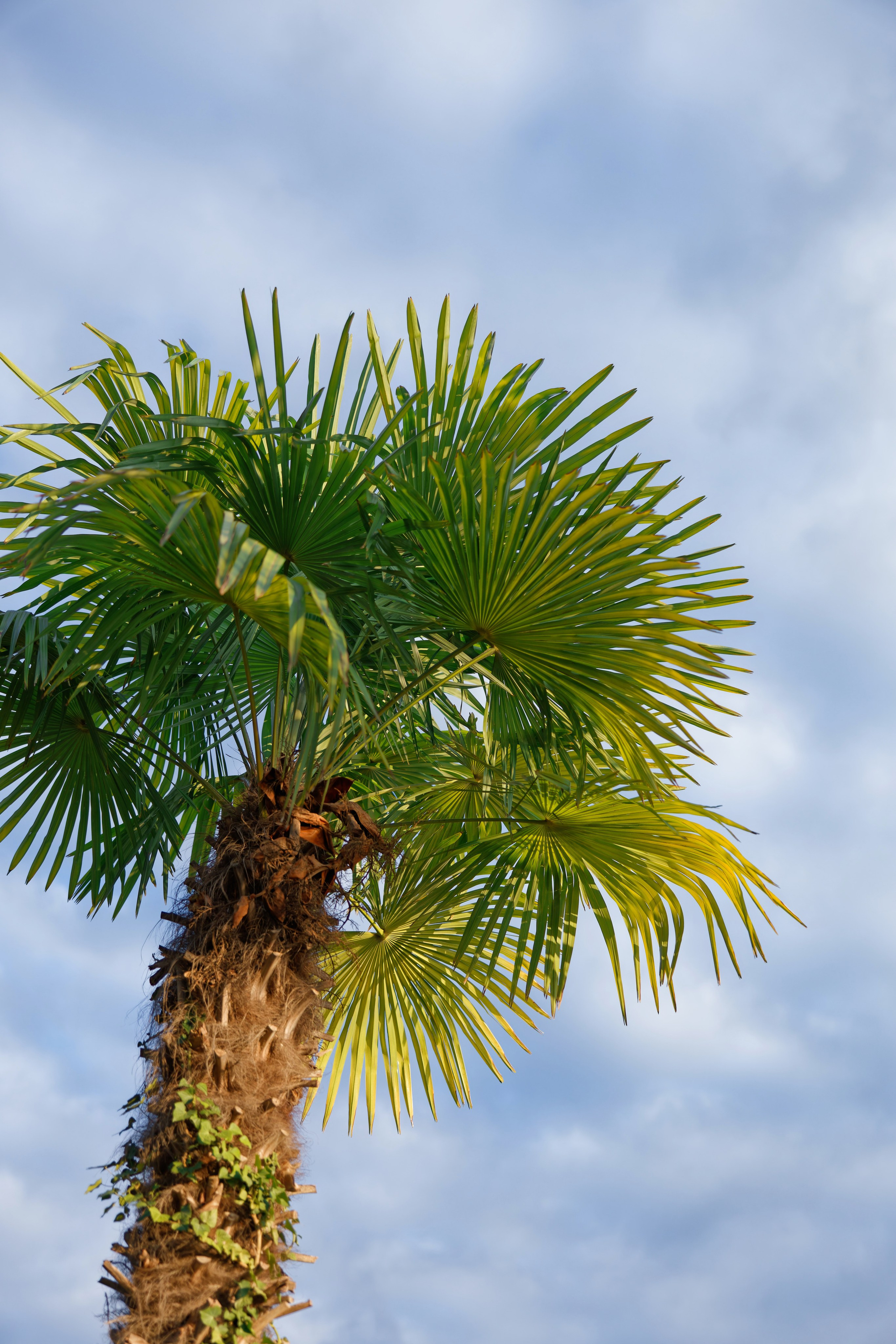 Wedding at Villa Porta on Lake Maggiore