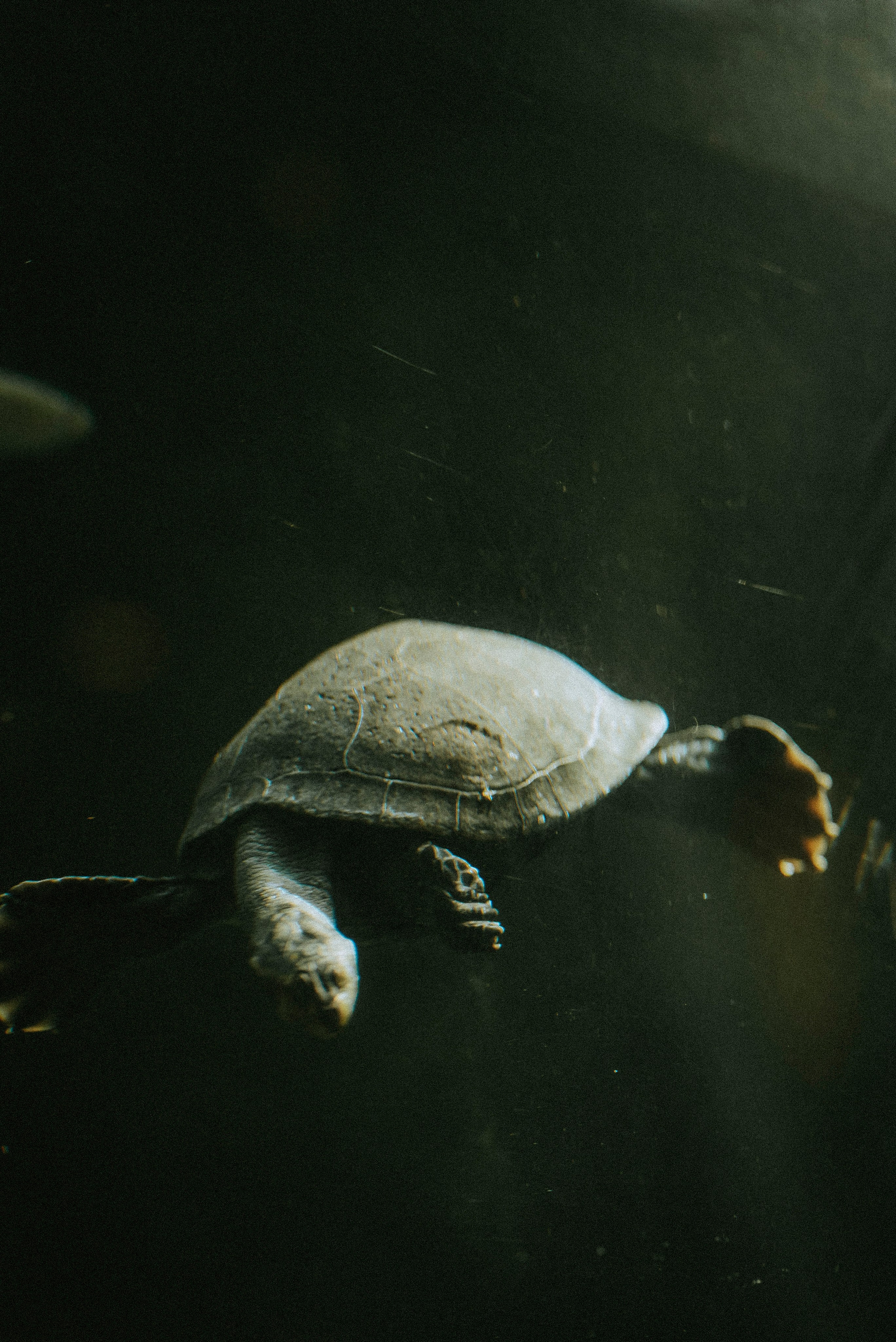 ЕВРОТУР. Стрит-фотография, полная абсурда, идиотизма и красоты