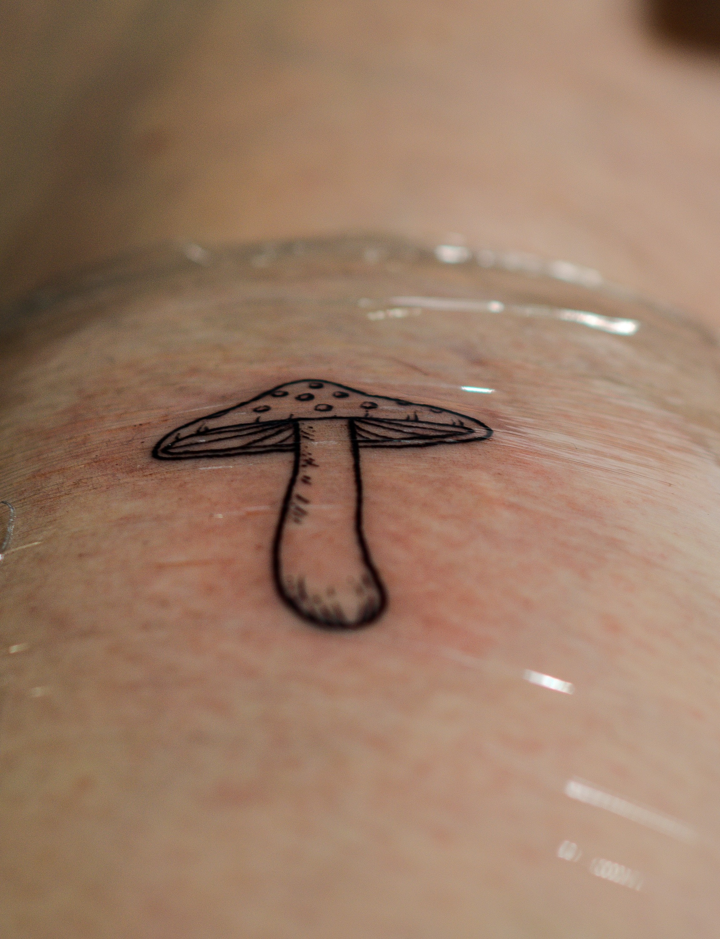 ROY TATTOO — радни дан. Викторија Федосеенко, фотограф у Србији