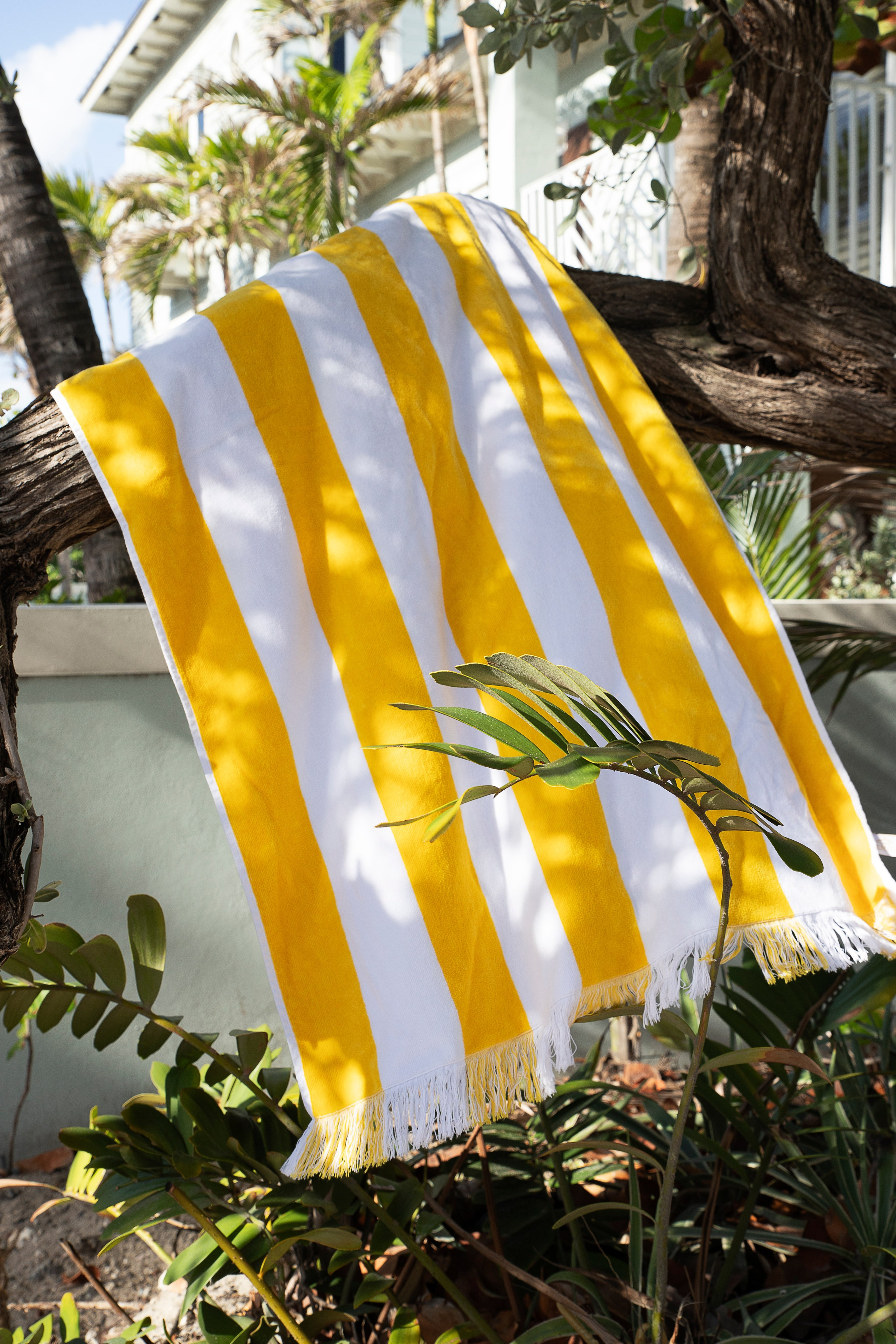 Texmpire Beach Towels. UGC creator