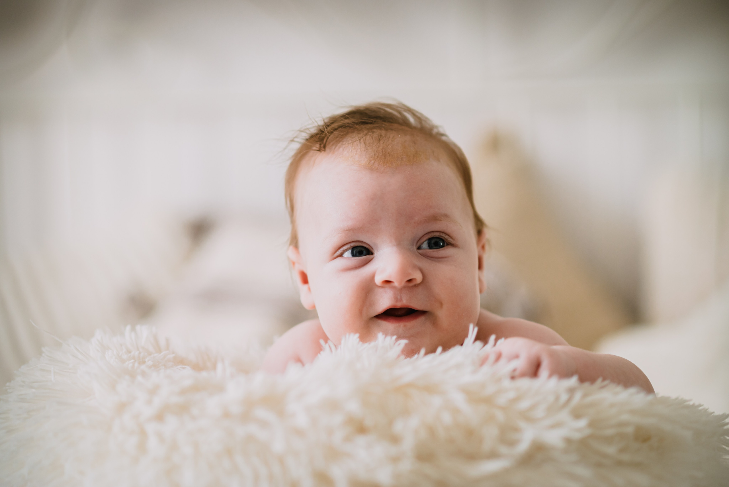 Alexandru. Giani Maftei