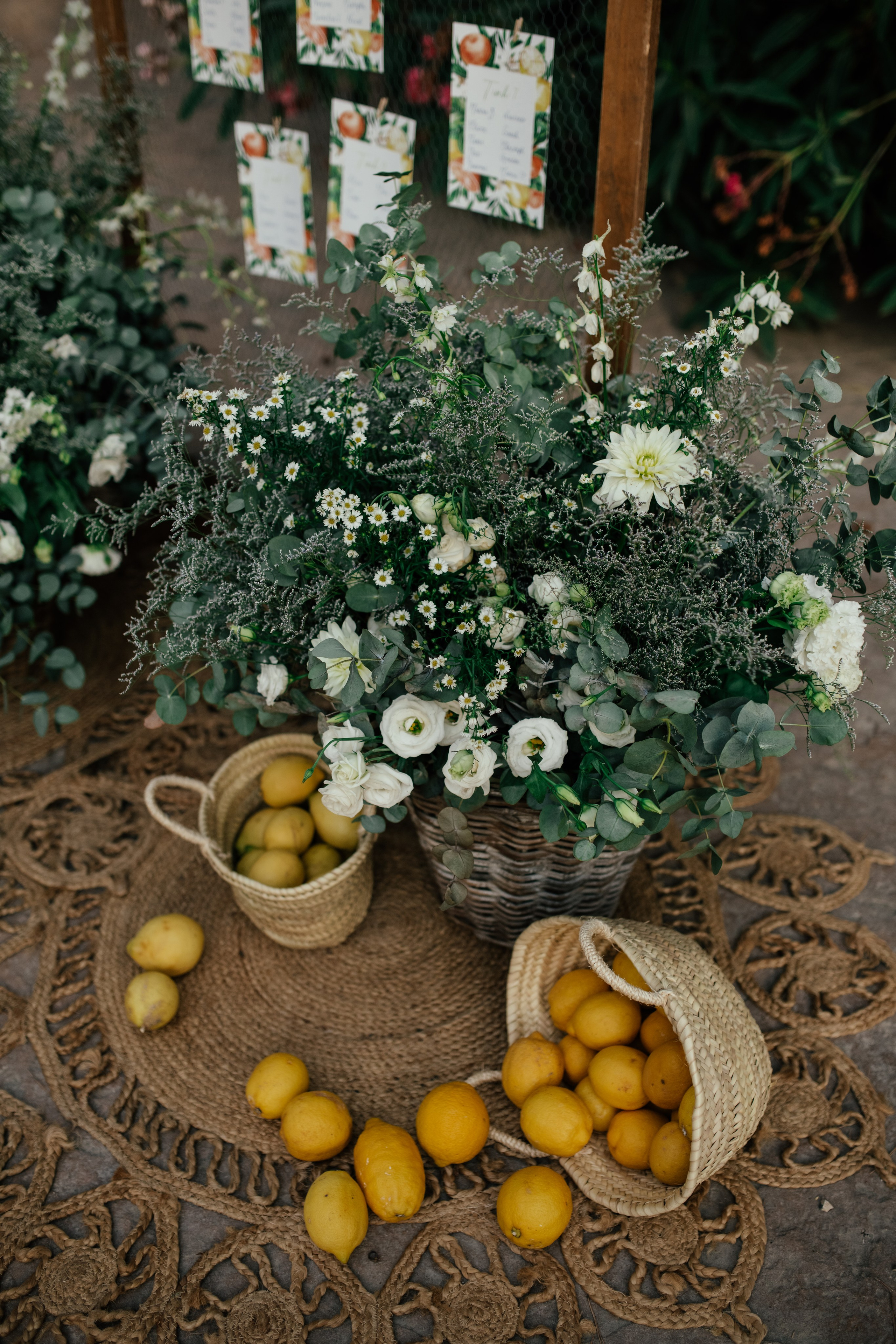 Alicia & Marc (Finca Marques de Montemolar)