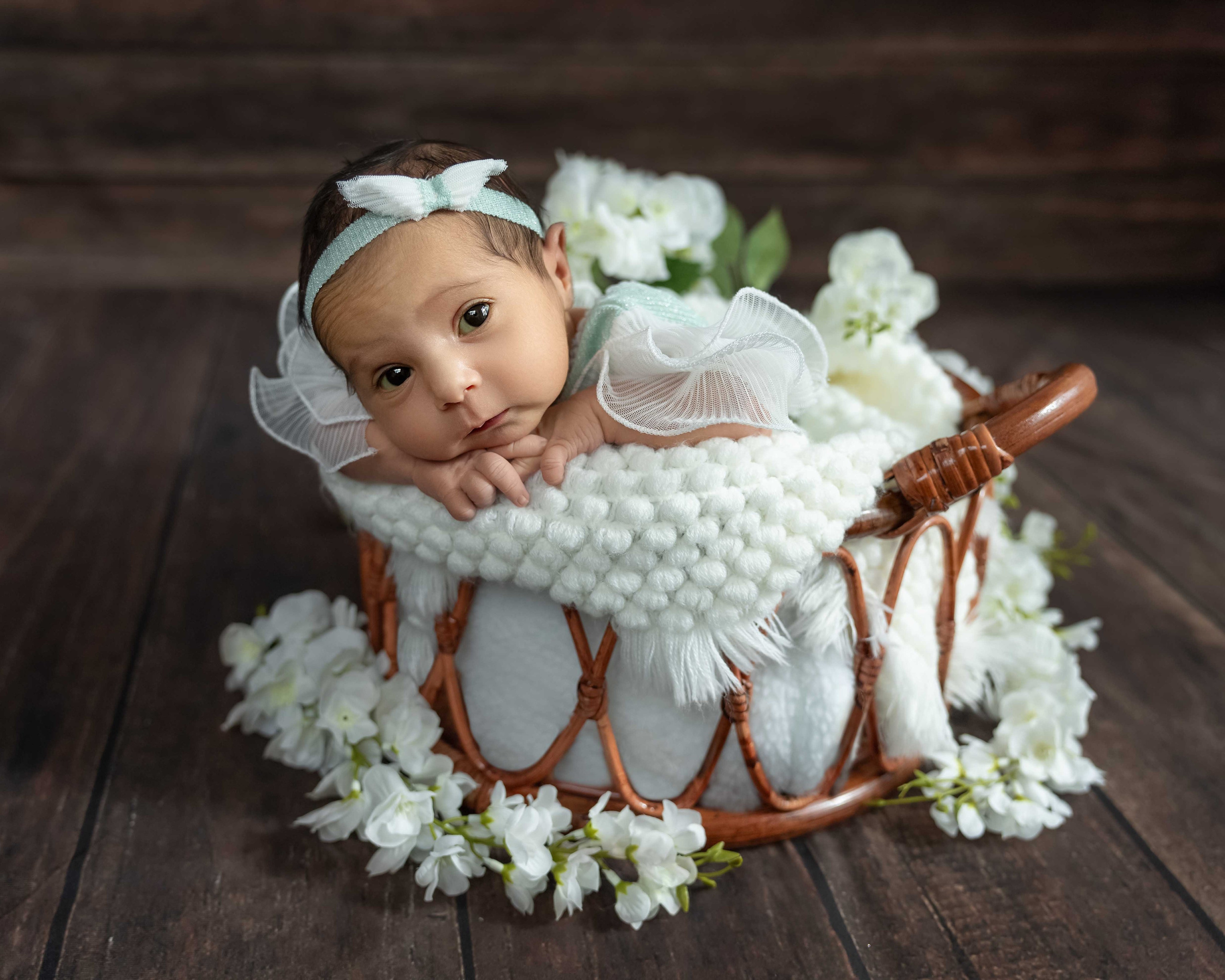 Newborn photos. Newborn photographer in Tampa Bay Area, FL