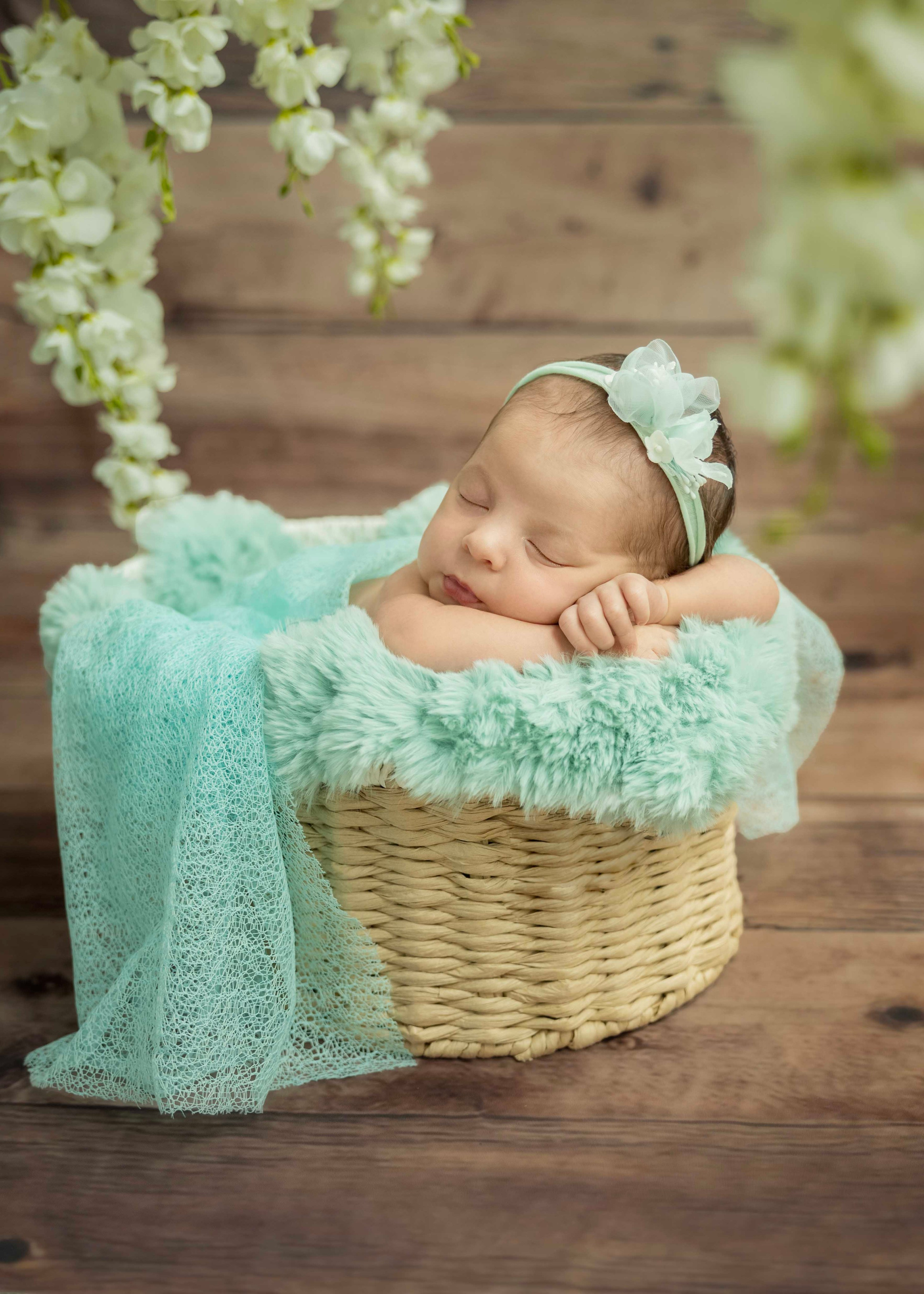 Setups. Newborn photographer in Tampa Bay Area, FL