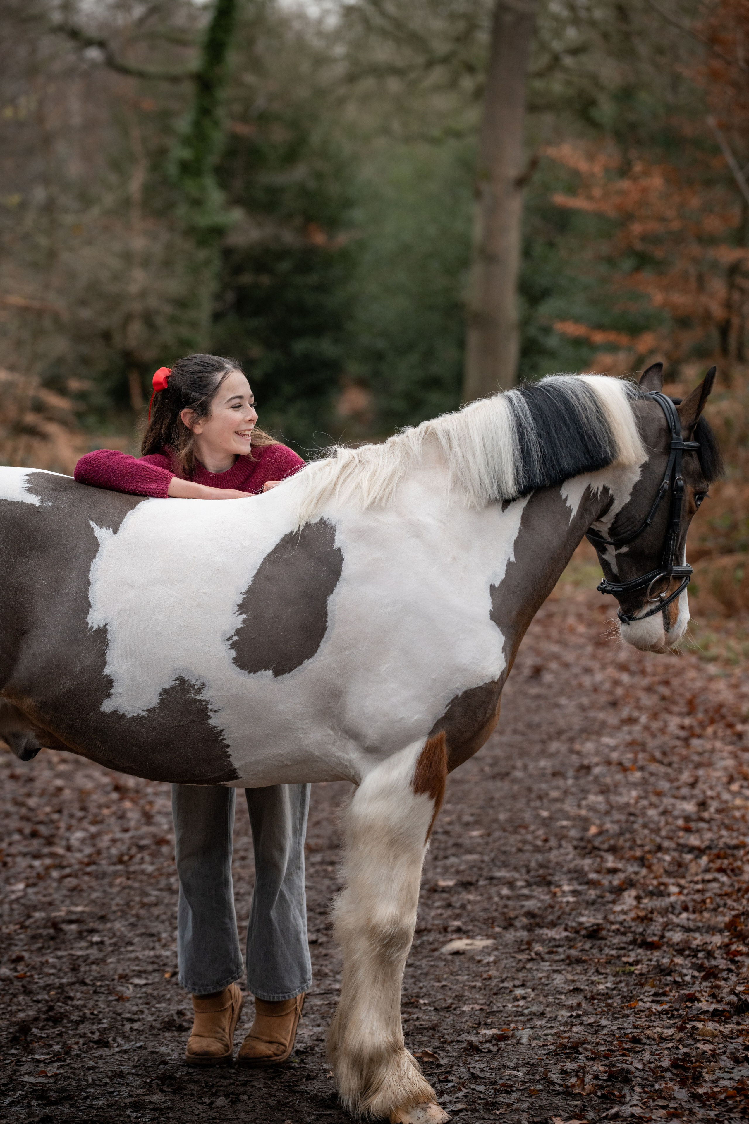 Equine Photography Portfolio | Leicestershire Horse Portrait Photographer. Leicestershire Equine Photography by El | Authentic Equine Portraits & Events