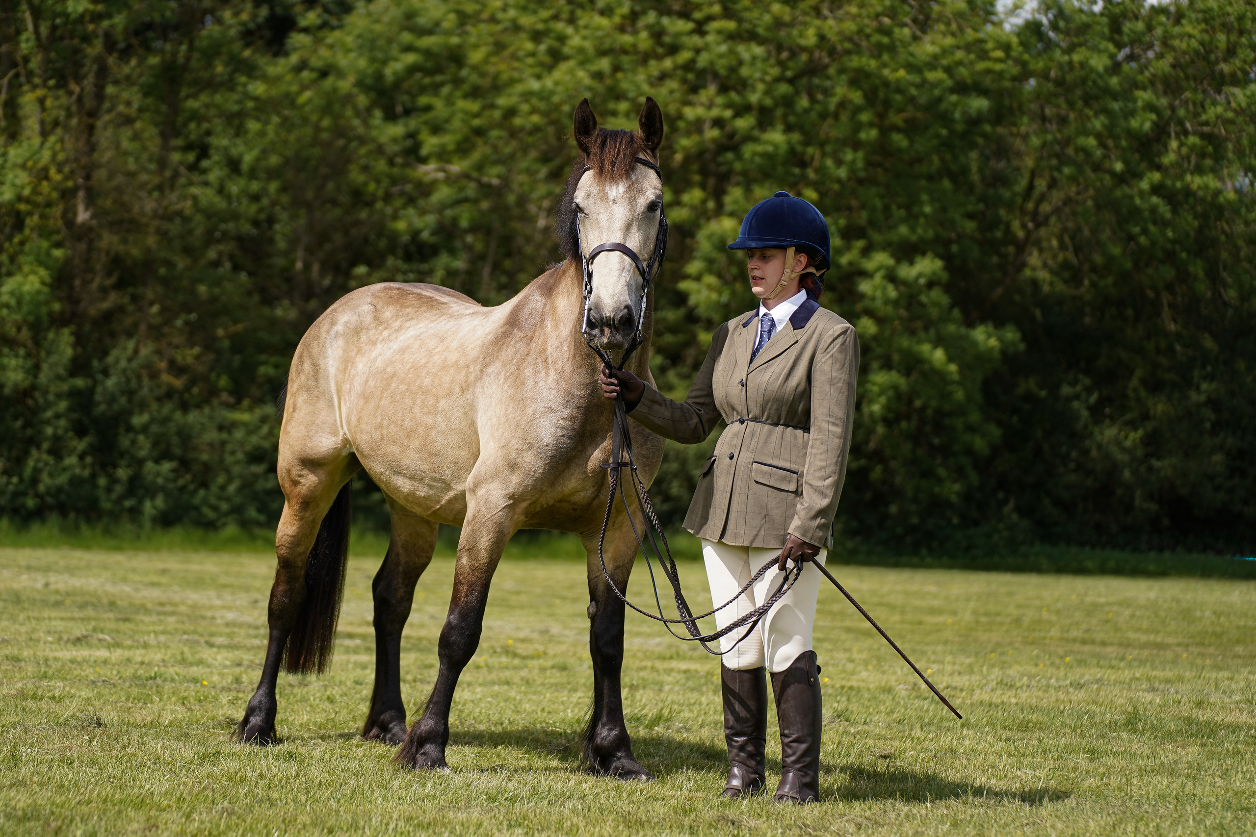 Showing. Leicestershire Equine Photography by El | Authentic Equine Portraits & Events