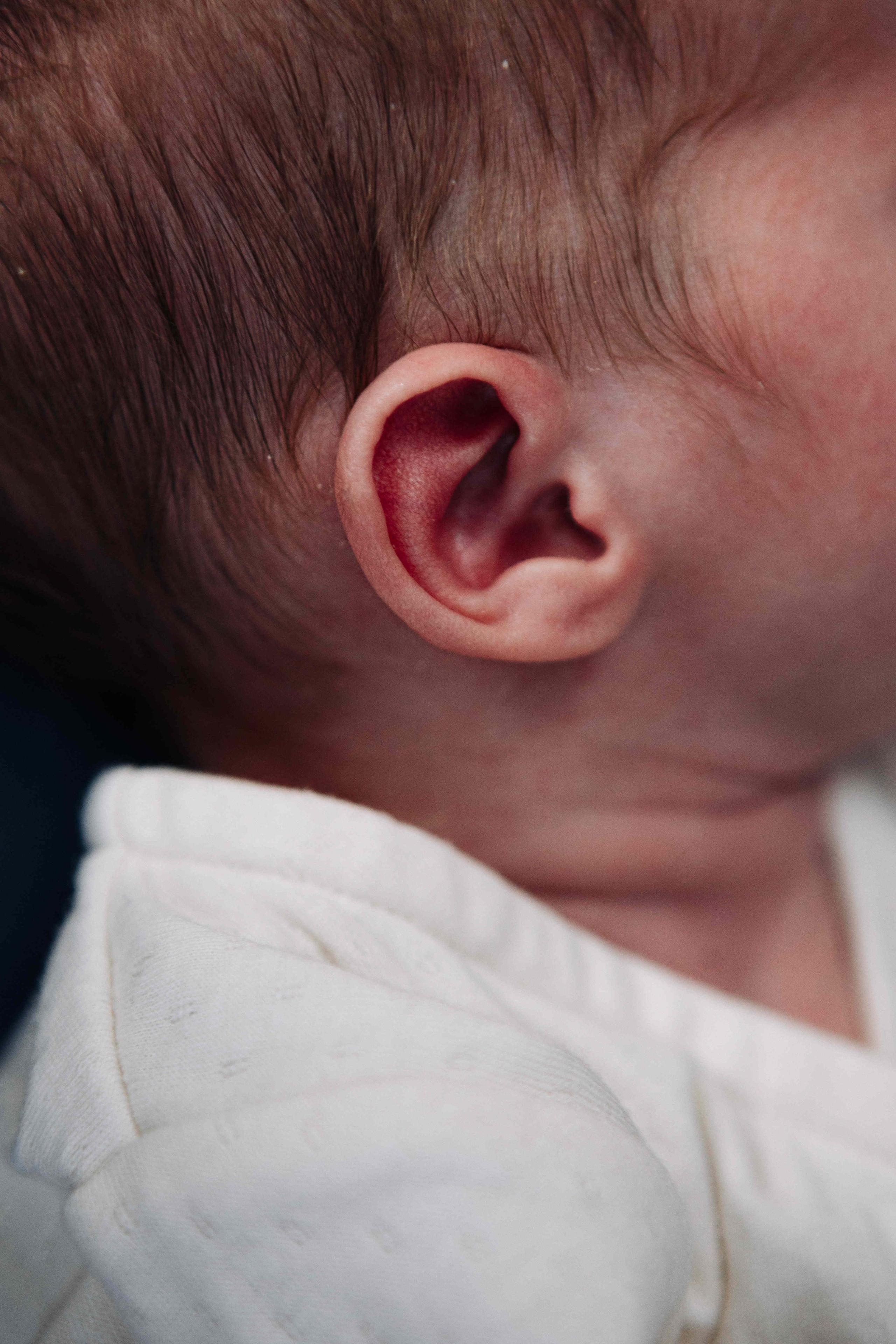 BRIT MILA IN NATURE IN JERUSALEM. Https://shi-photo.com/