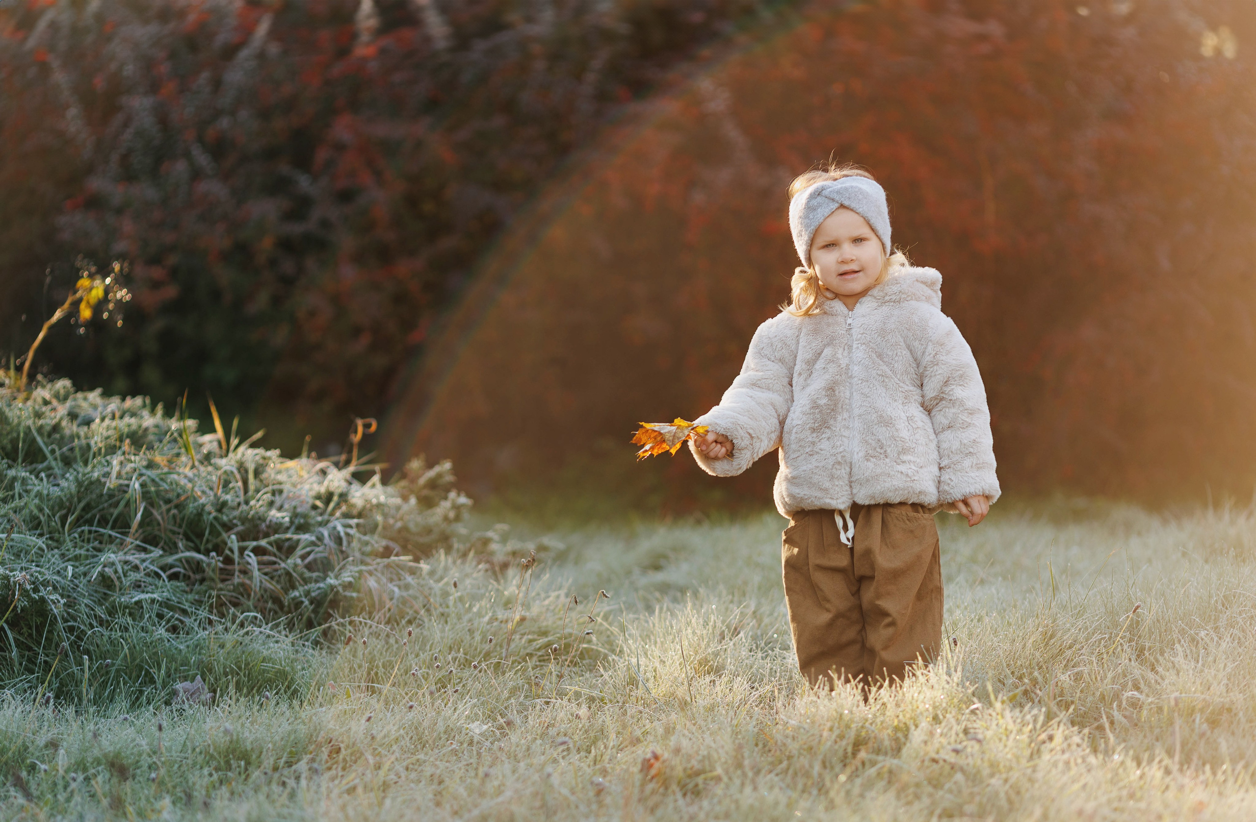 Golden moments. Family photographer in Vilnuis Svetlana Naumova