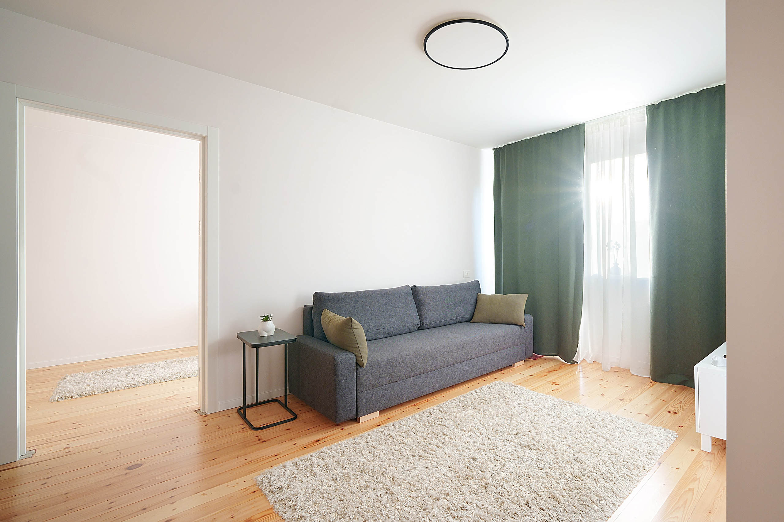 Vileišio g. 24. Elina Sapiega fotografė Vilniuje