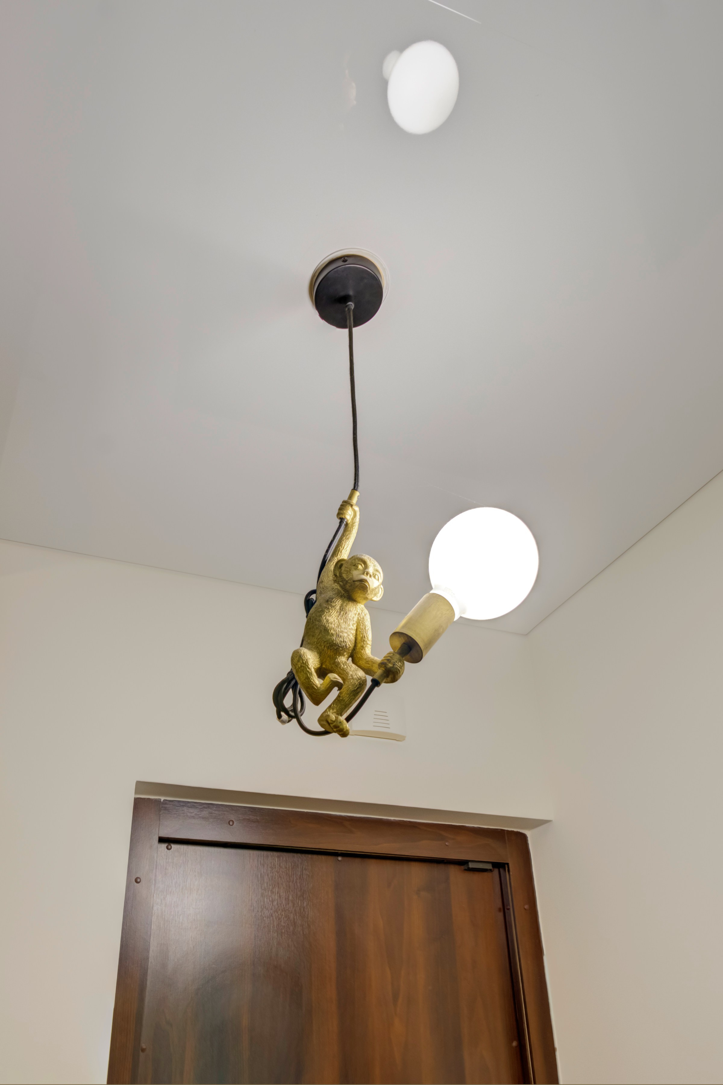 Mokslininkų g. 7. Elina Sapiega fotografė Vilniuje