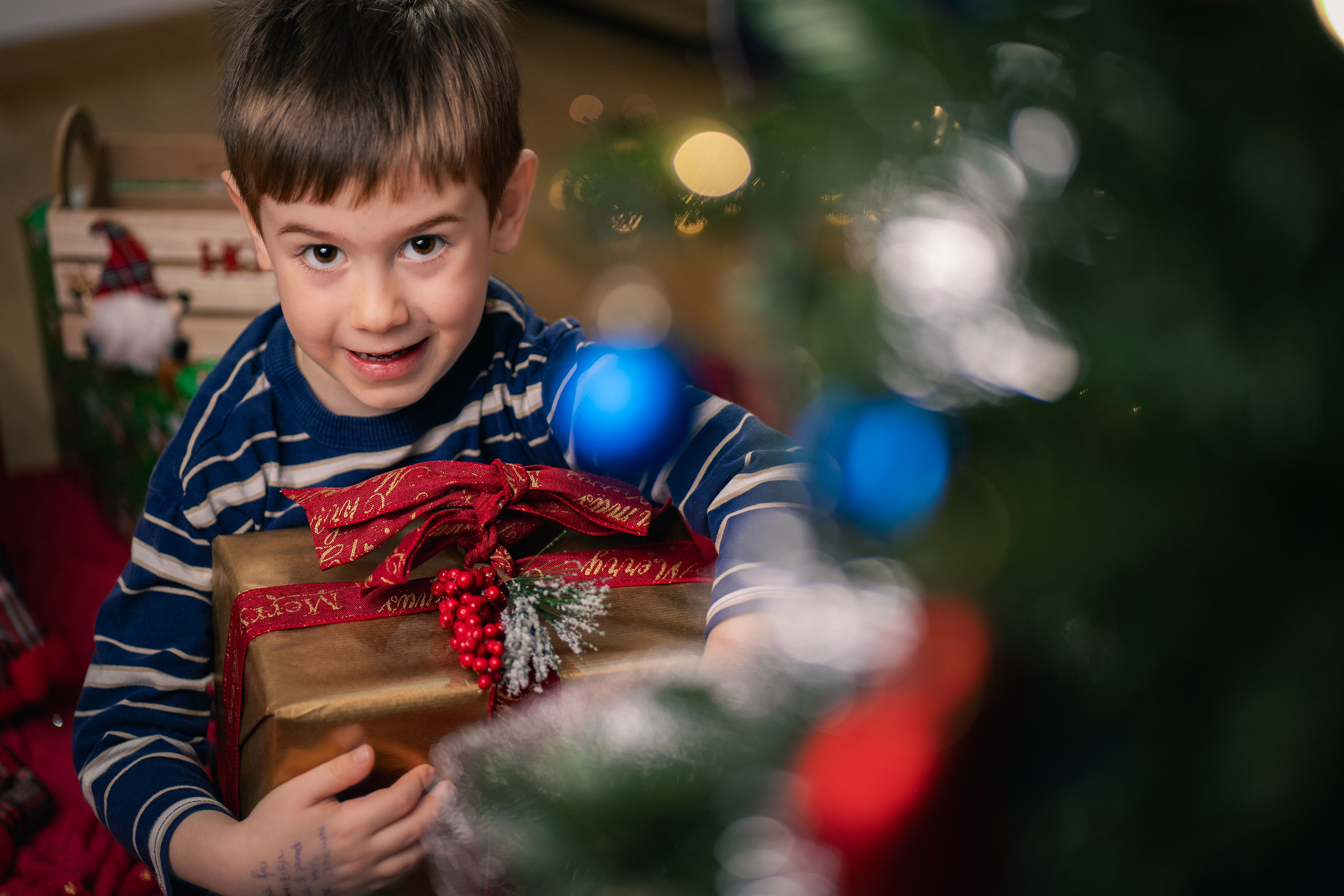 Sedinta foto Craciun — Gradinita Miniterra. Liviu Andrei - Fotograf