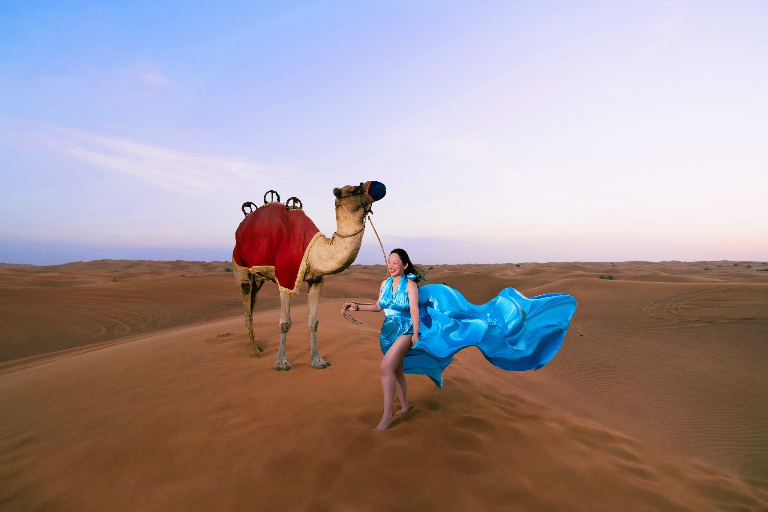 With horses and camels. Photographer and videographer in Dubai Dmitry Gromov
