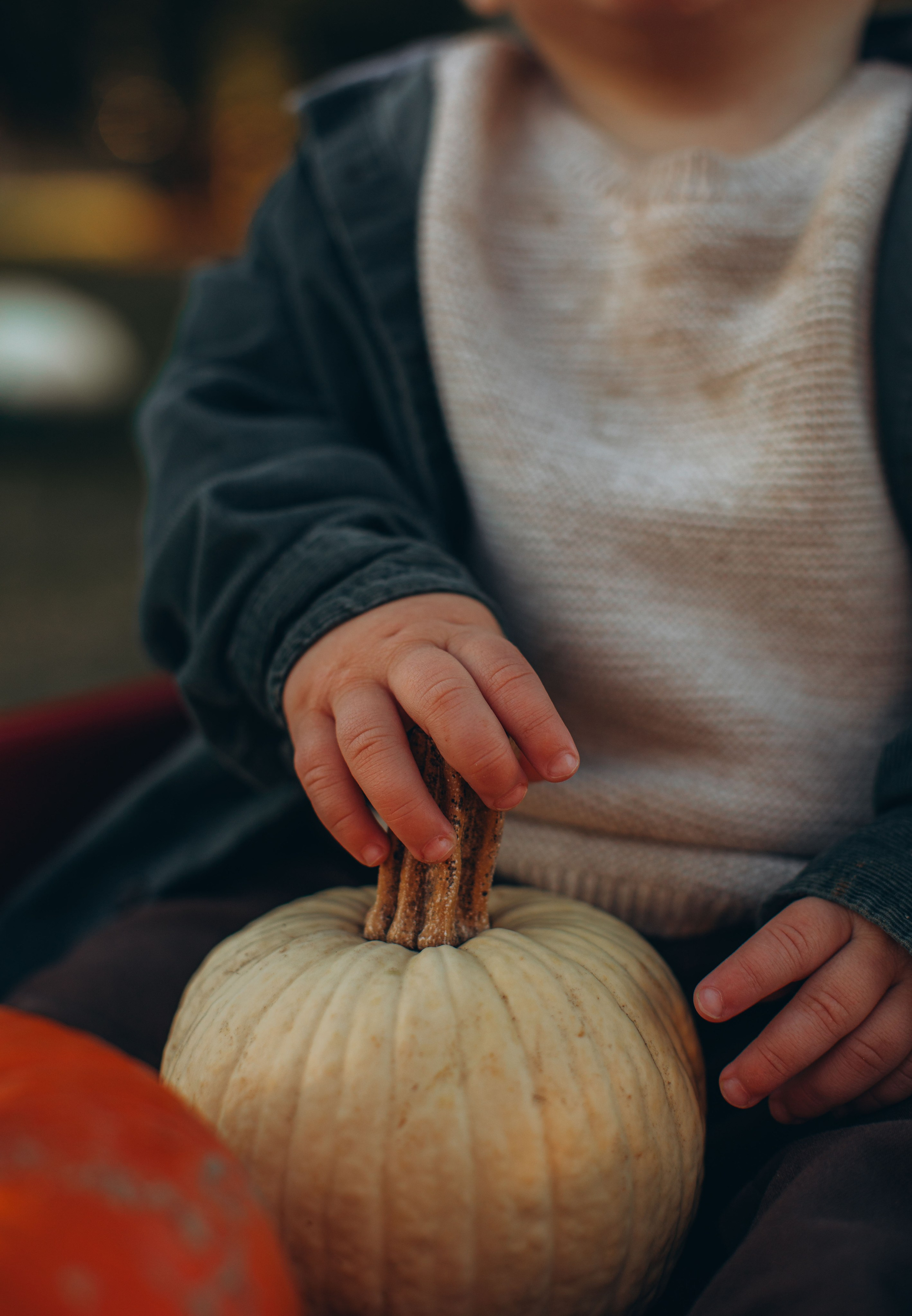 Victoria, Nick, Grayson and Noah at Harvest Moon Farm. Love Through Photo