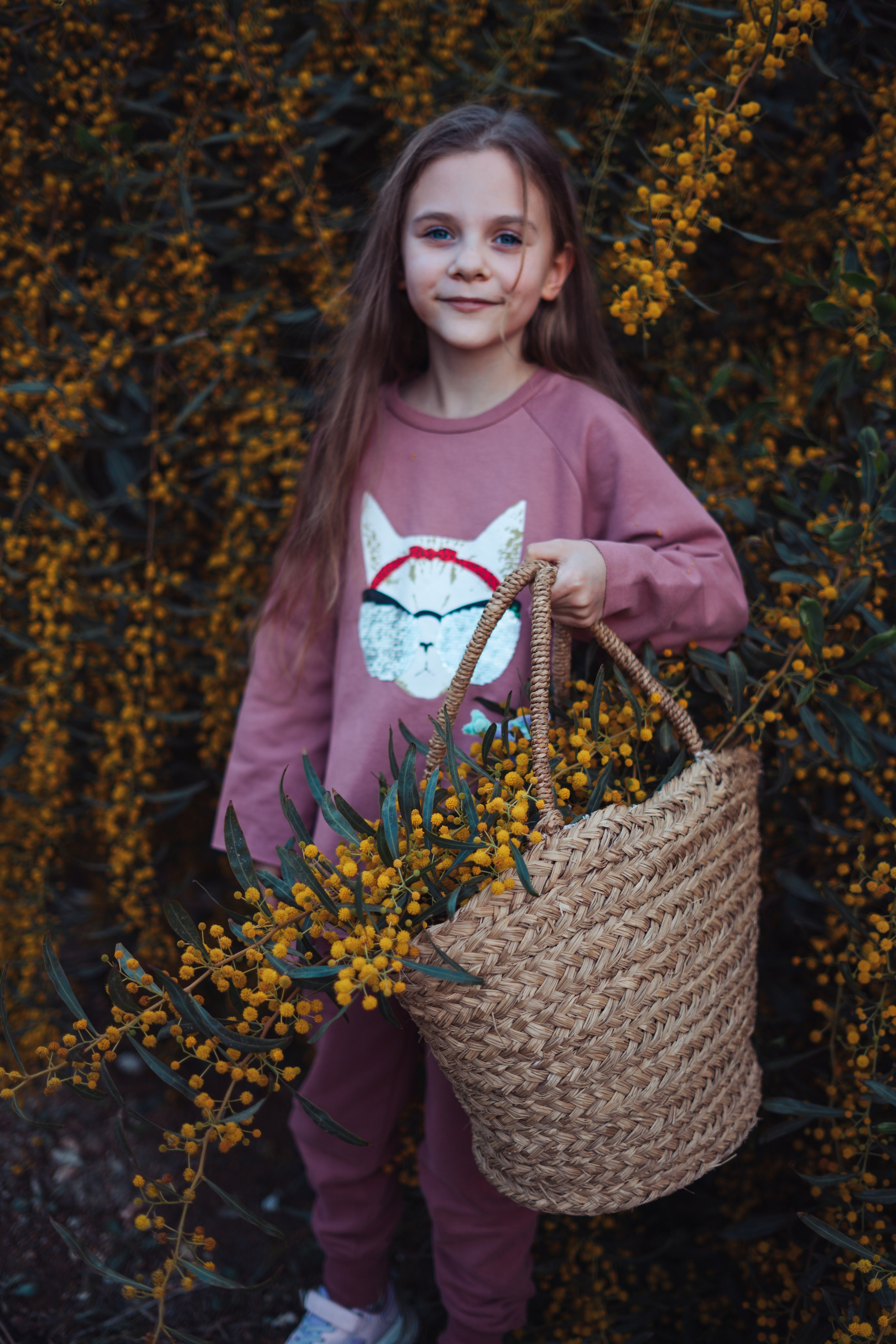Мимоза. Анастасия Благова — Твой фотограф в Малаге 🇪🇸