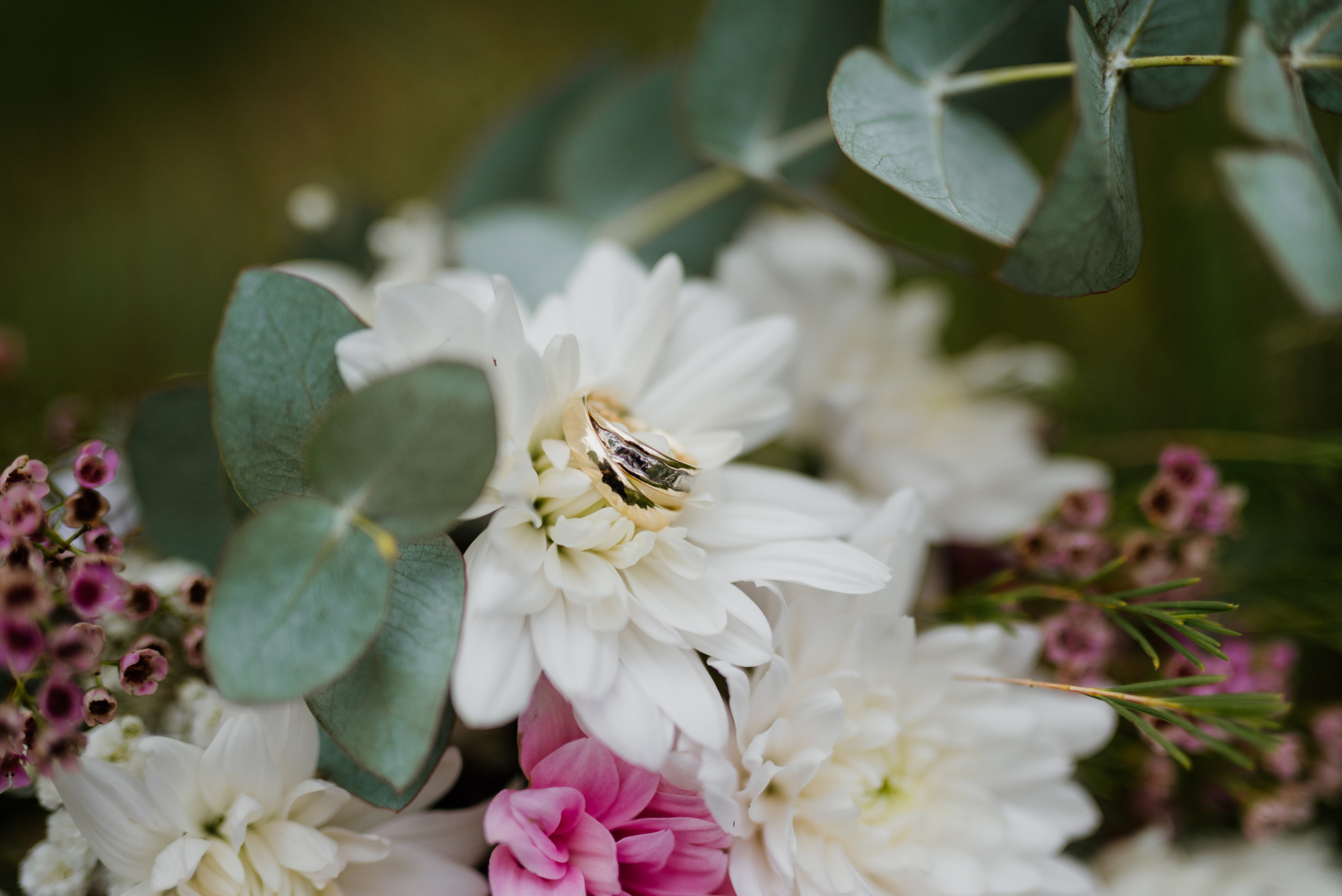 Pricelist. Michalina Dzianach Wedding Photographer Iceland