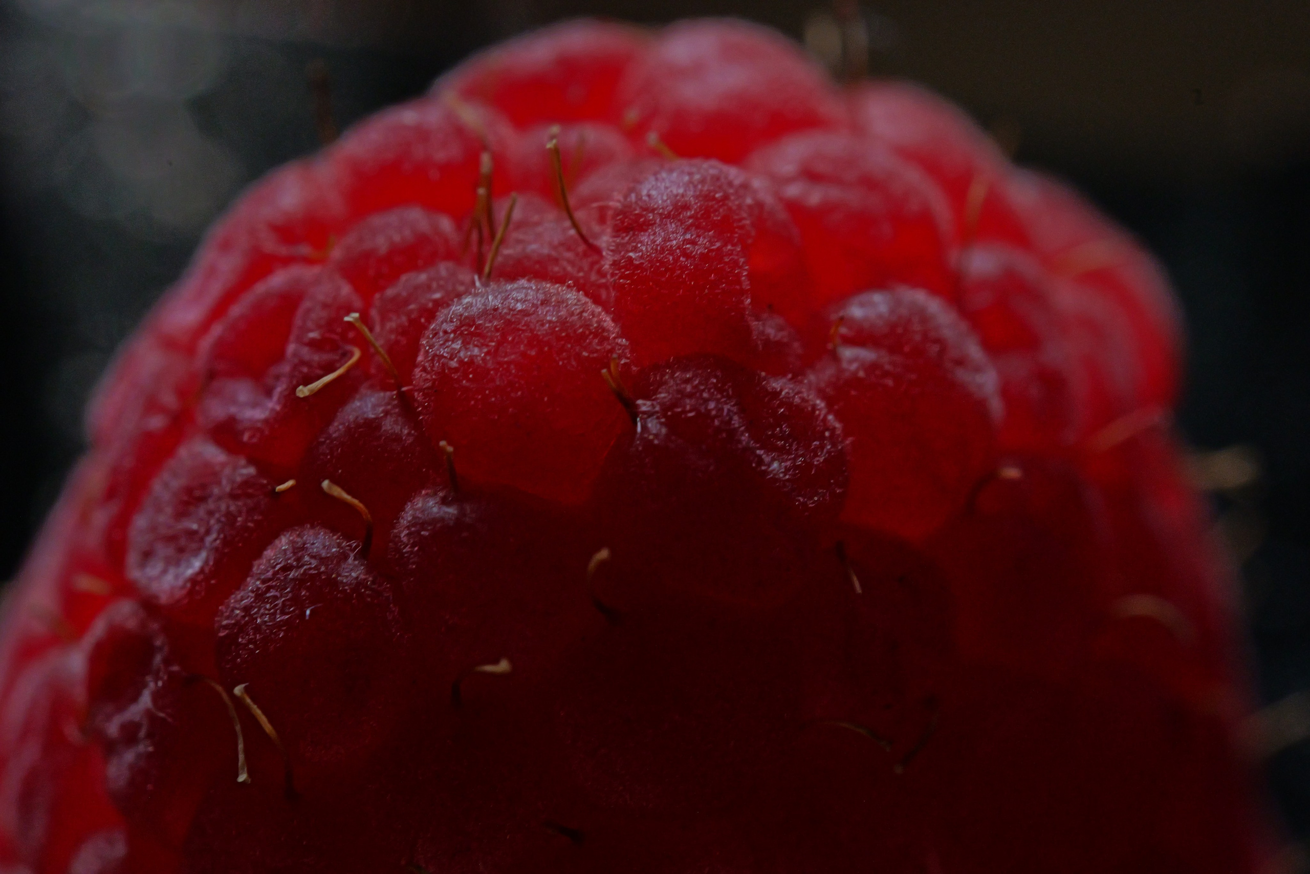 Фото Бинго — Food съемка. Отражение