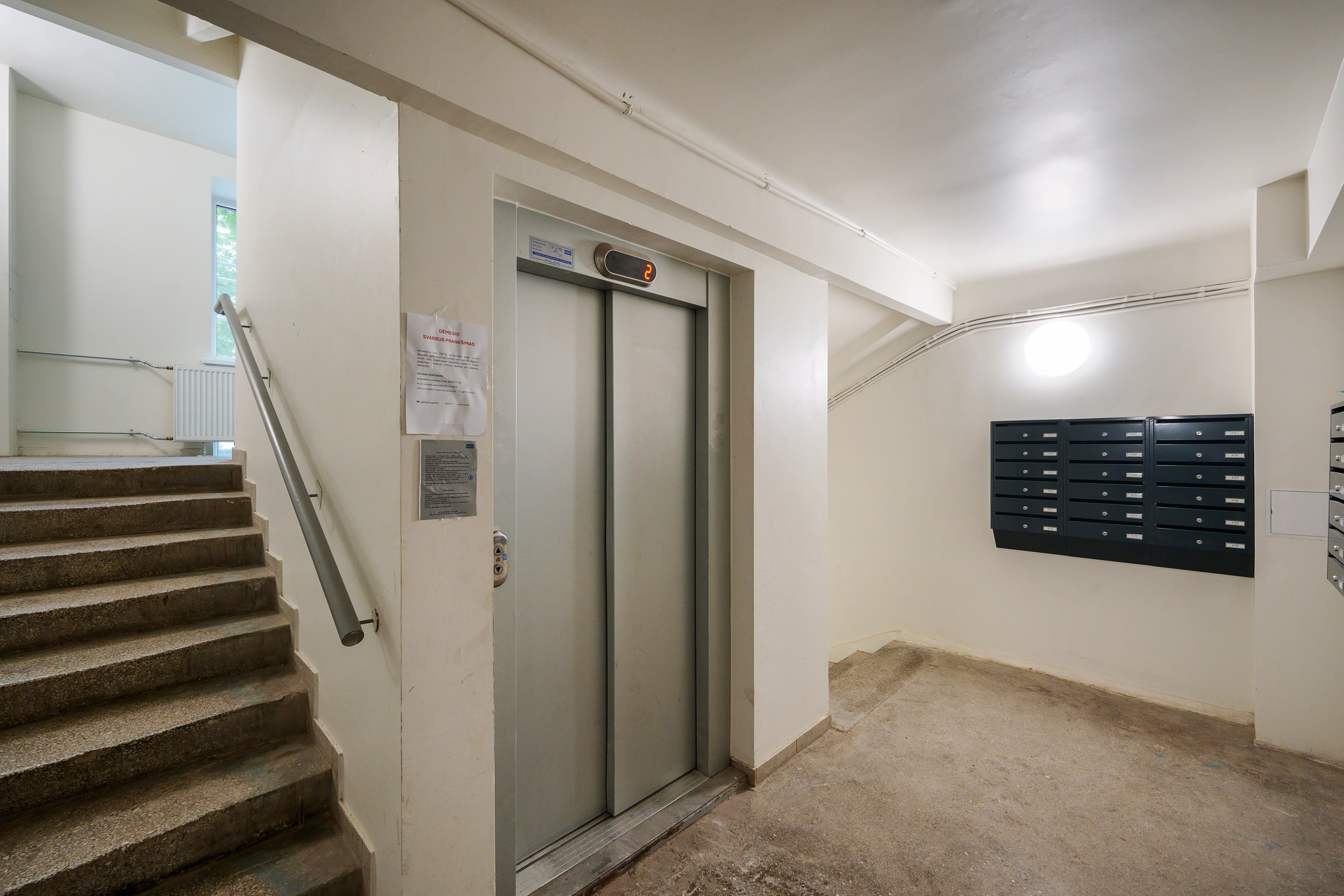 Naugarduko g. 41. Elina Sapiega fotografė Vilniuje