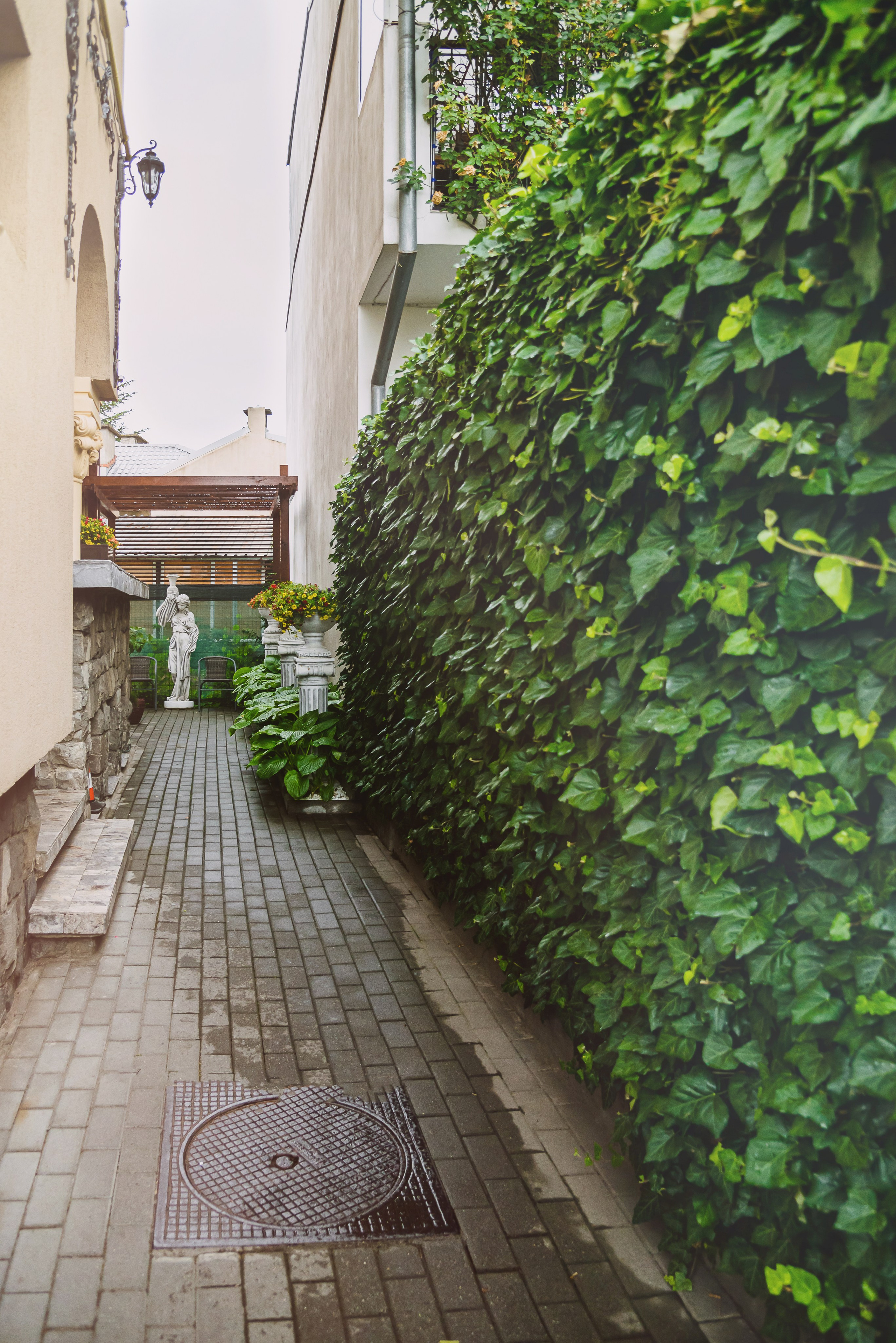 Andodent. Giani Maftei