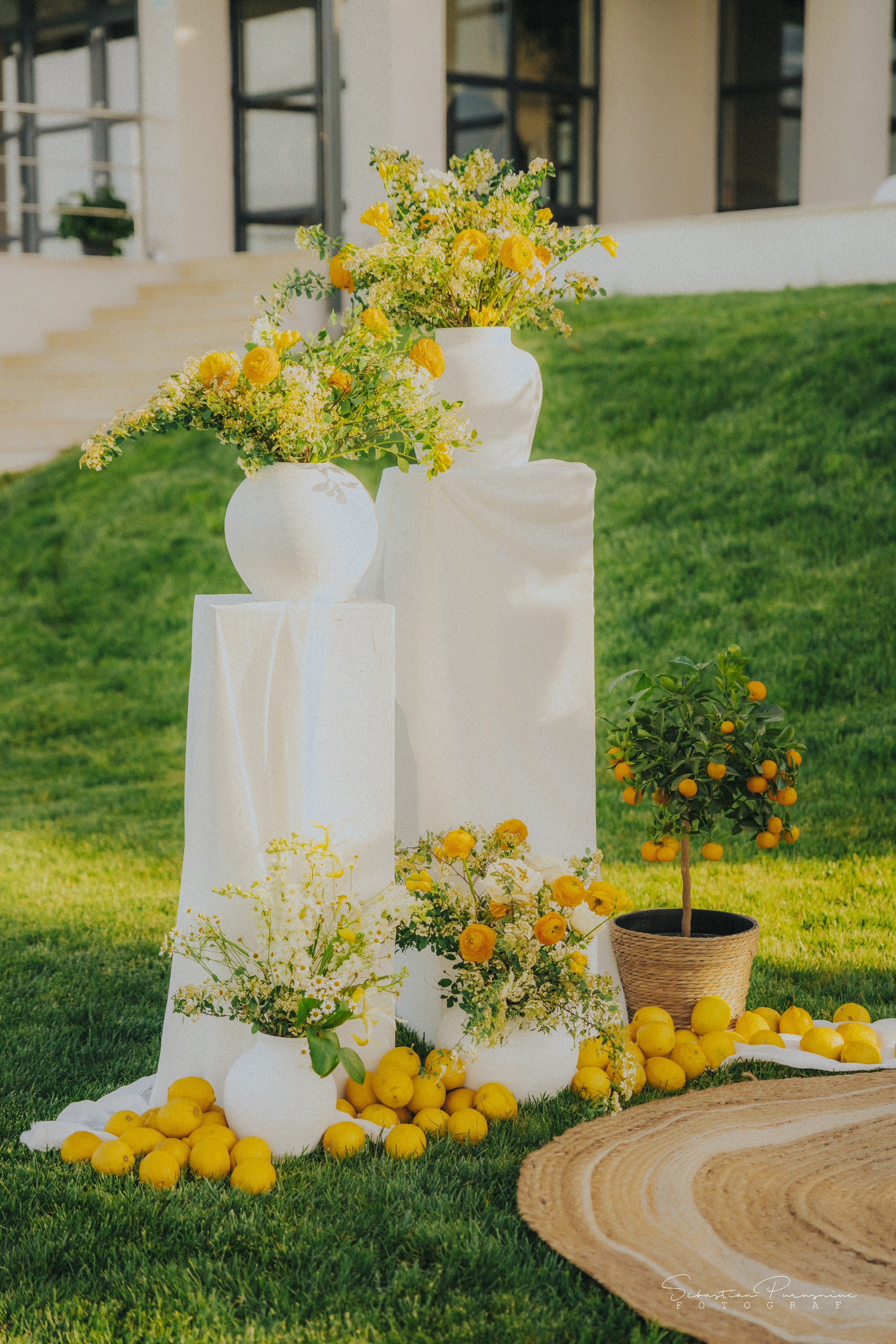 Love & Lemons. Sebastian Purusniuc Fotograf - Iasi