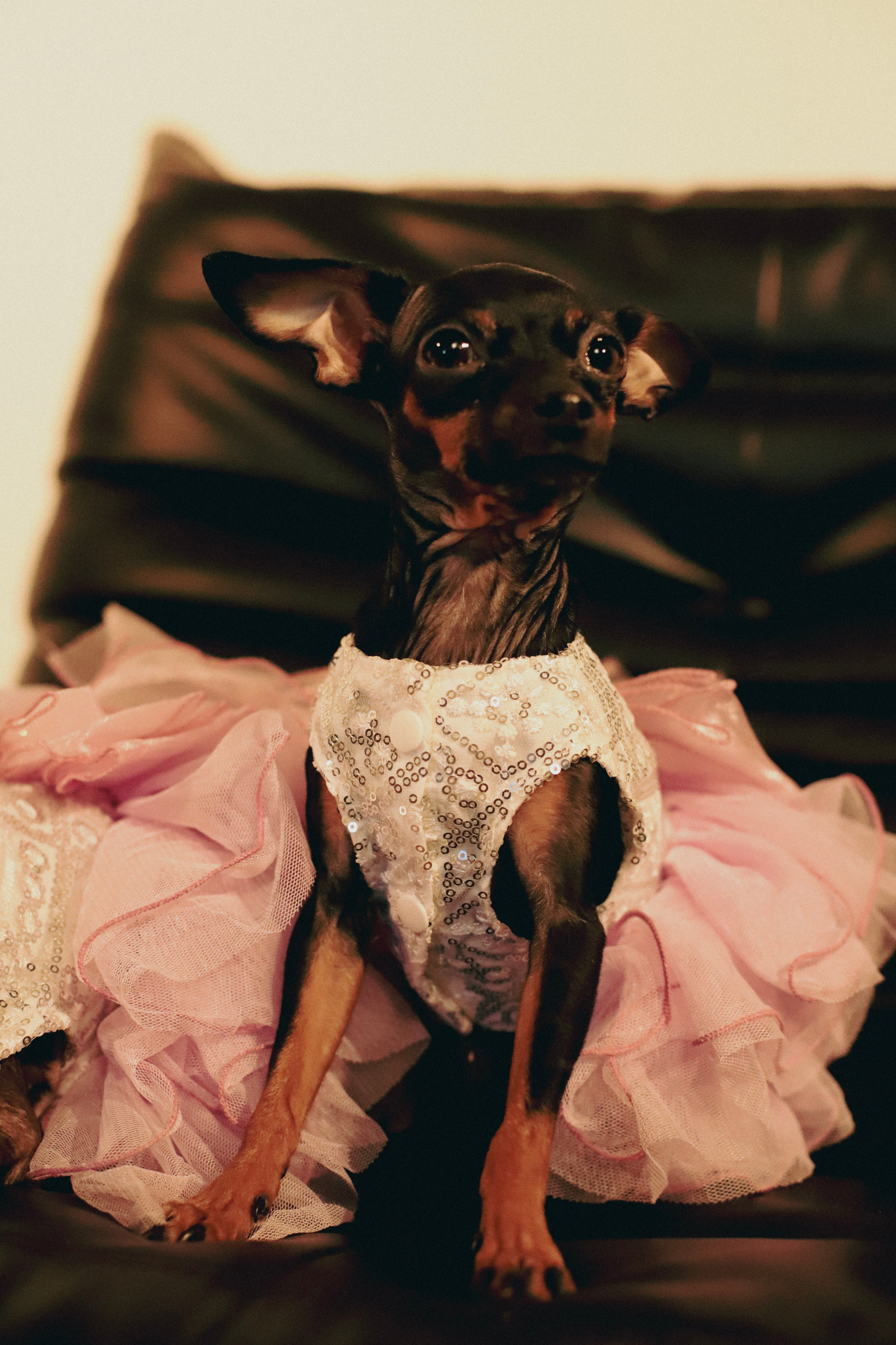 Victoria. VALERIIA VIUNOVA individual shooting\love story\event\brand