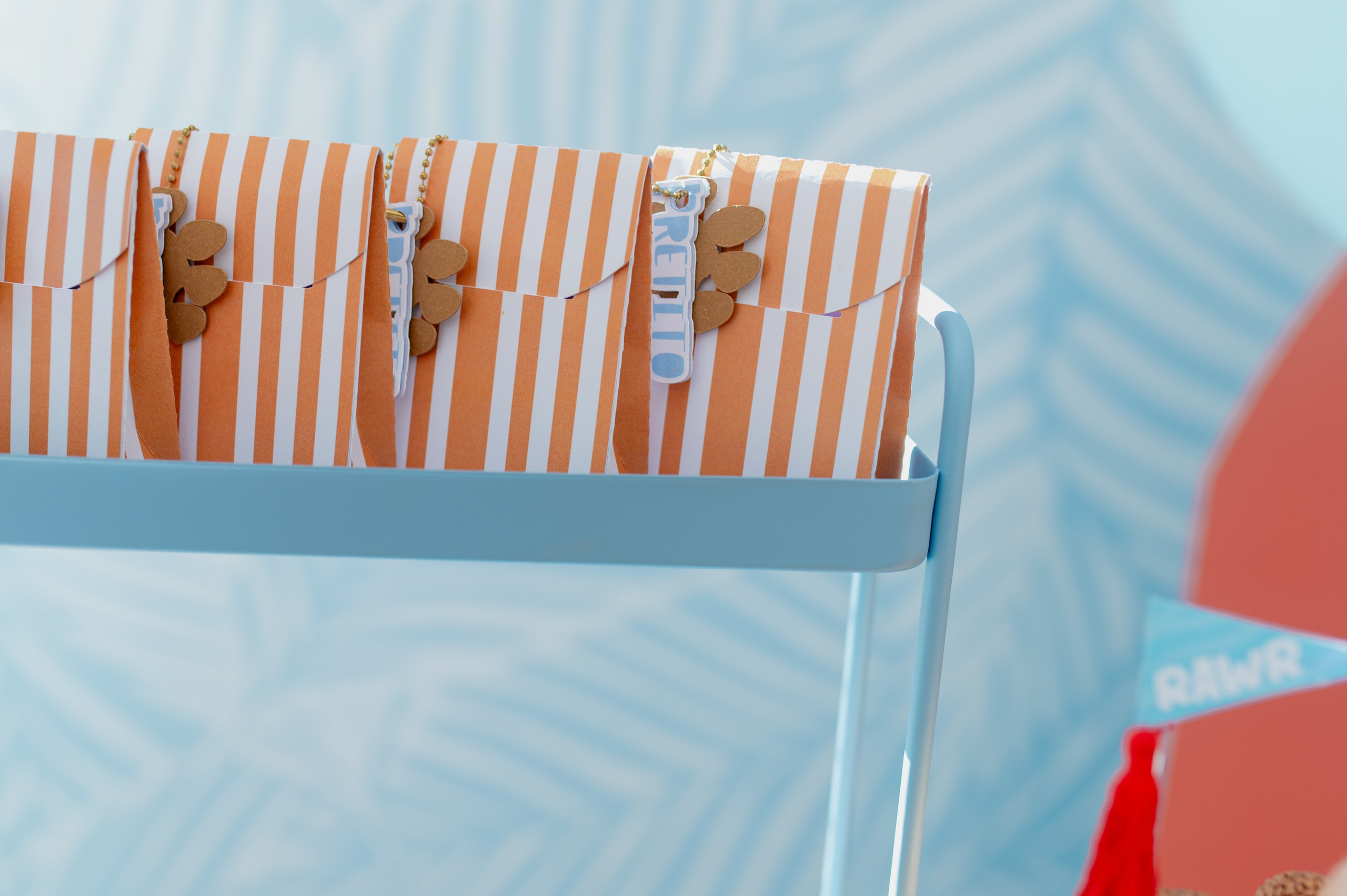 Tito José 1 Ano. Água Carmim Fotografia