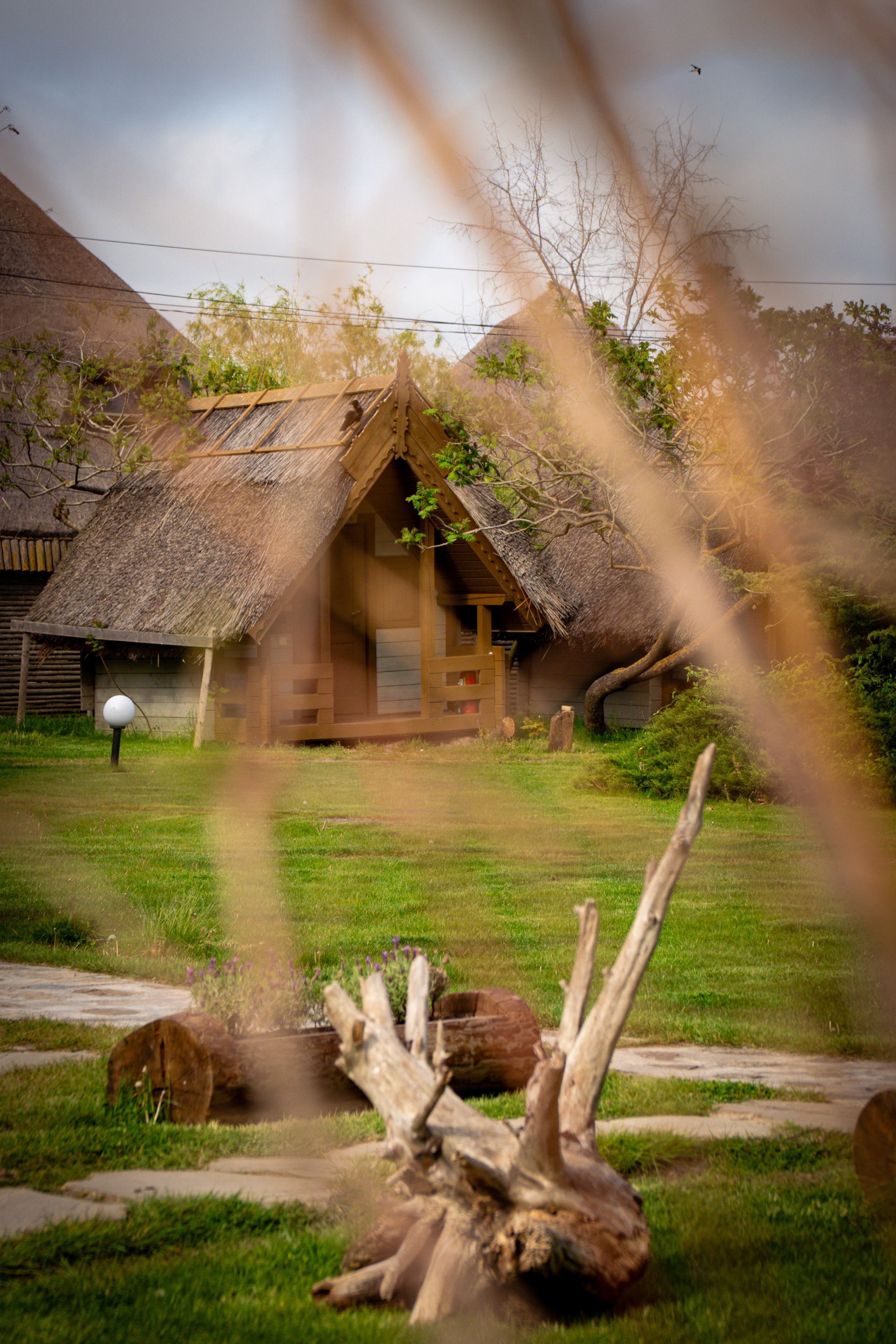 Green Village. Creste si calatoreste